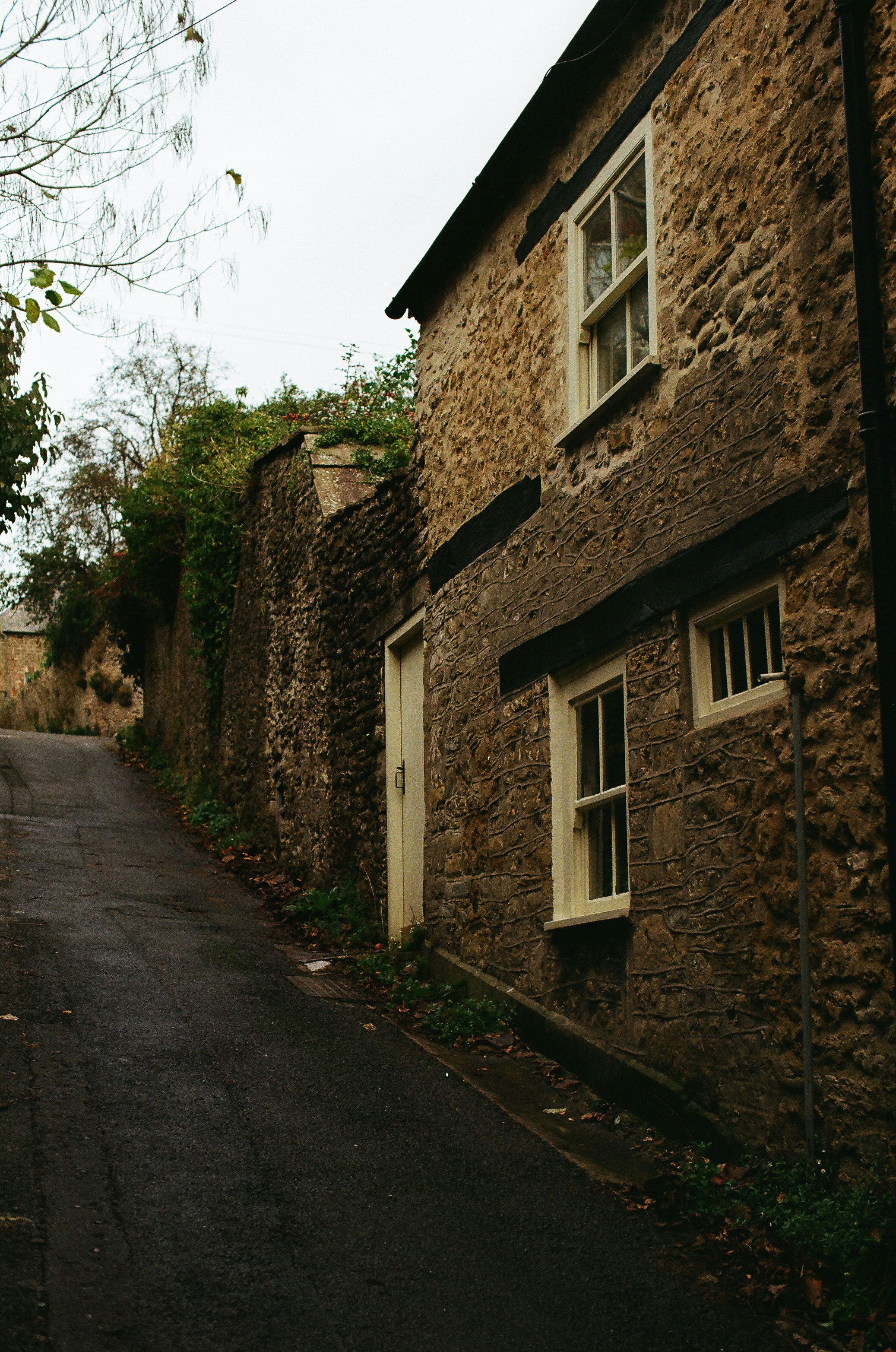 Photo by tanyabarrow