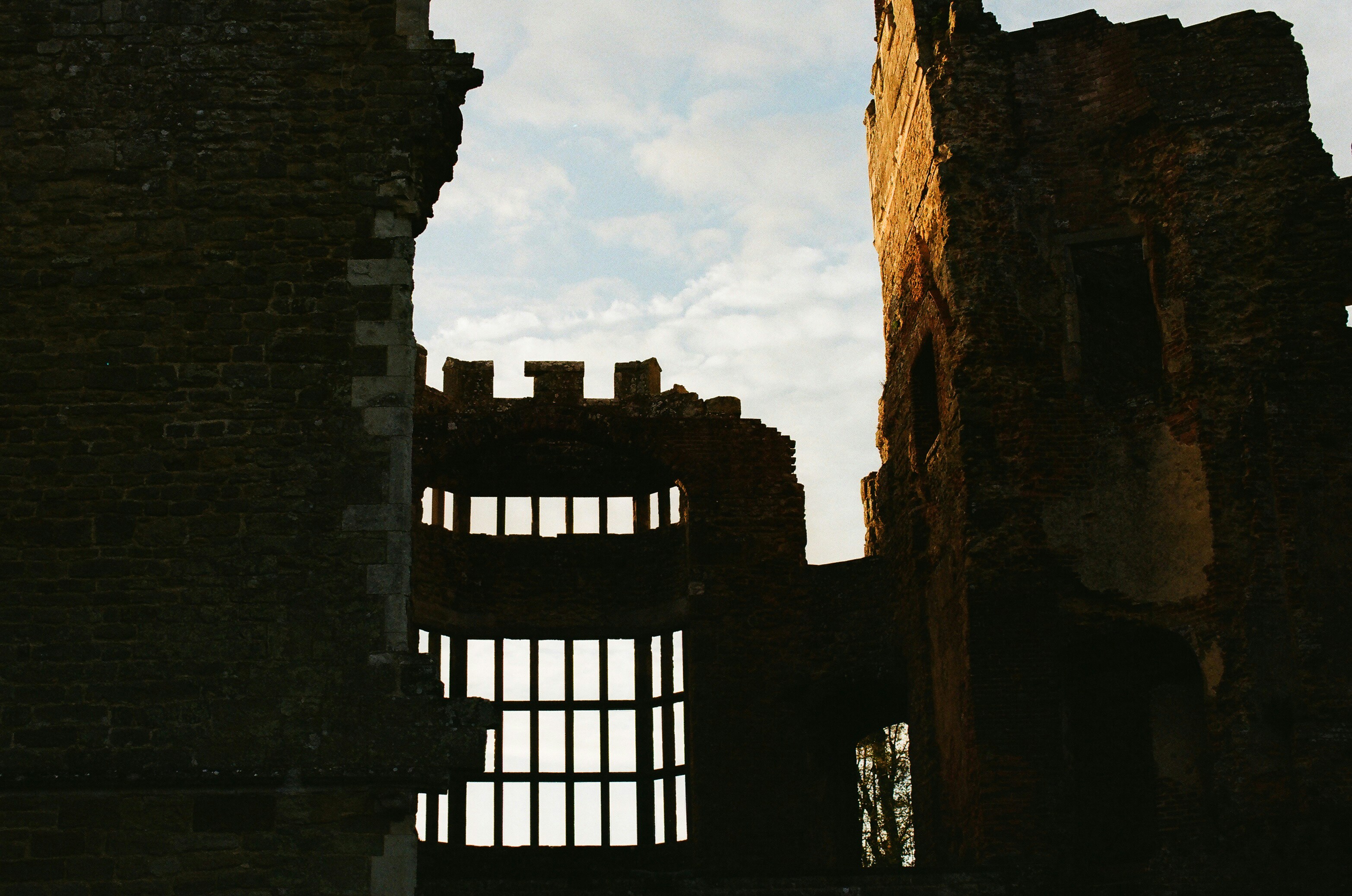 Photo by tanyabarrow