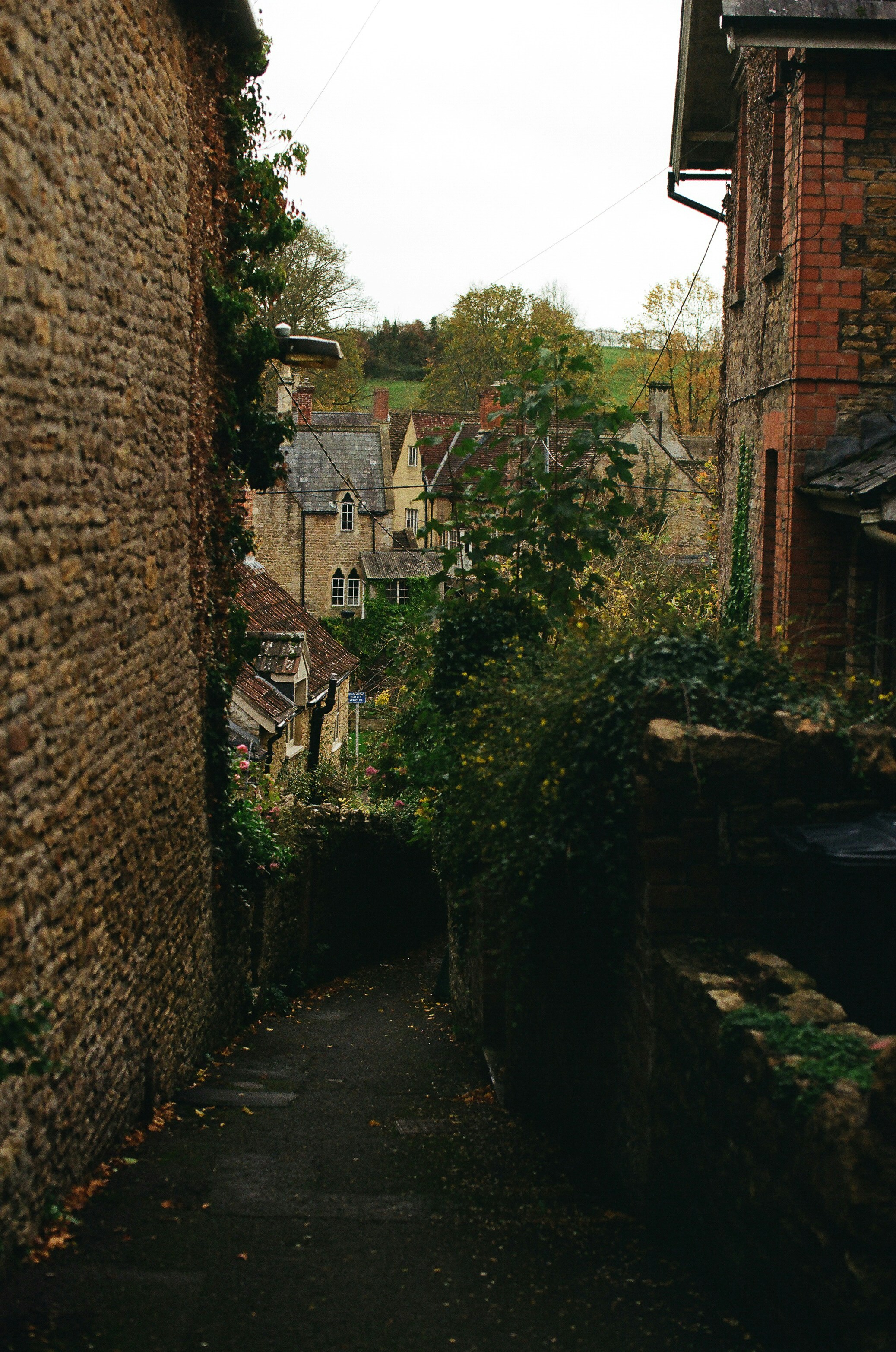 Photo by tanyabarrow