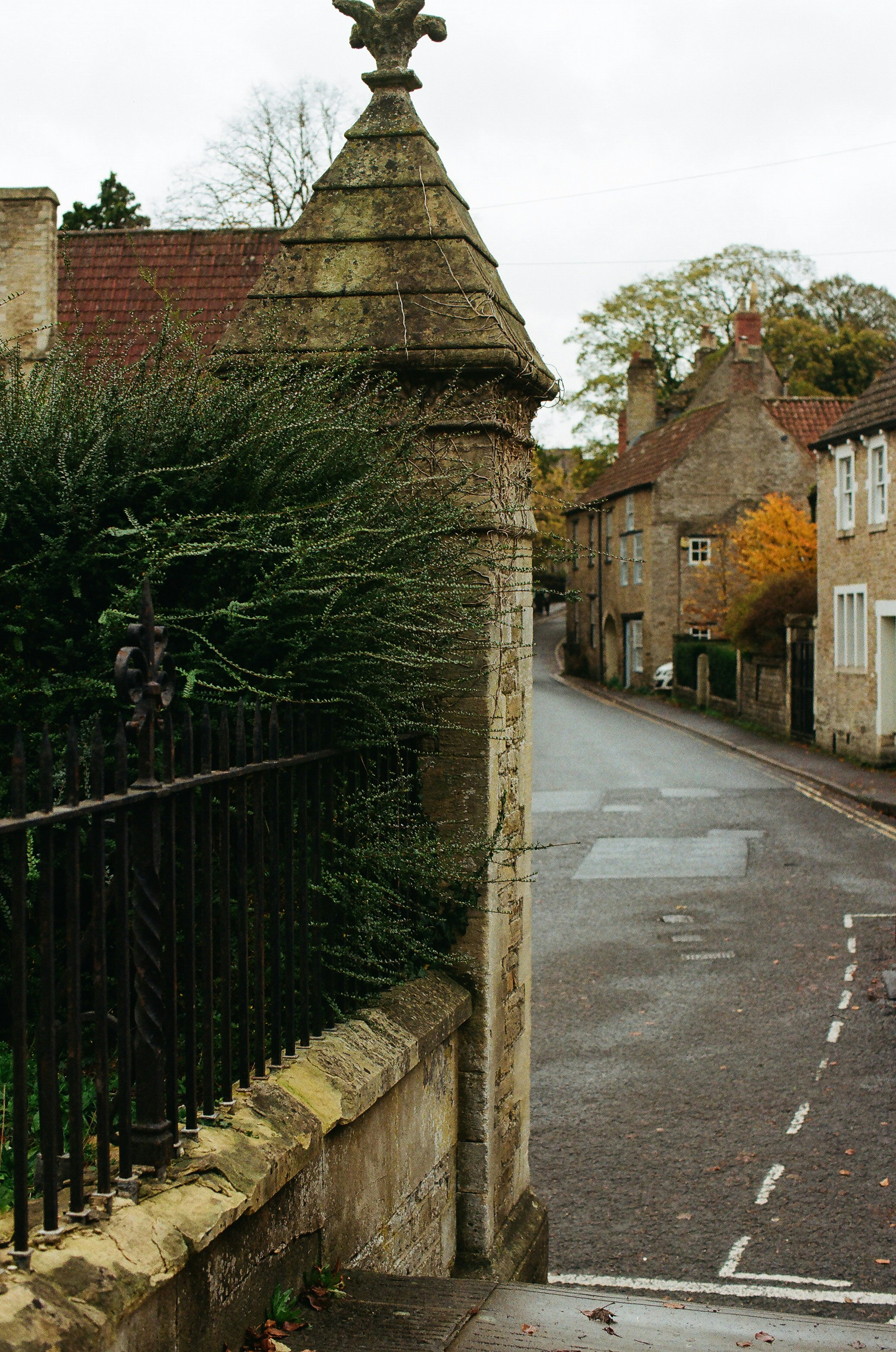 Photo by tanyabarrow