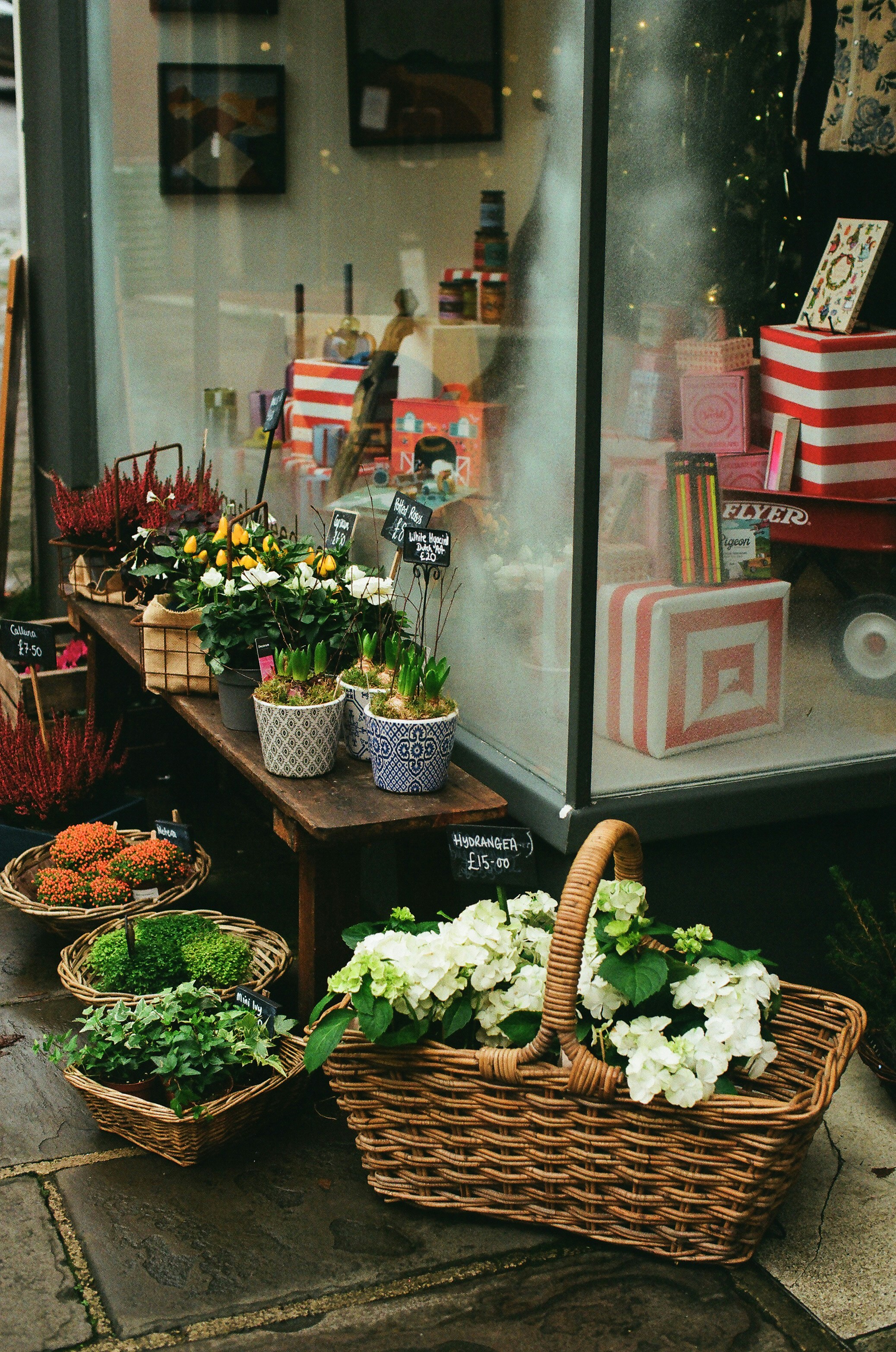 Photo by tanyabarrow