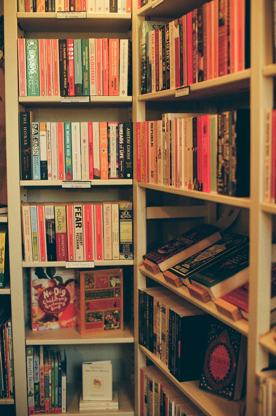 Books displayed on bookstore shelves