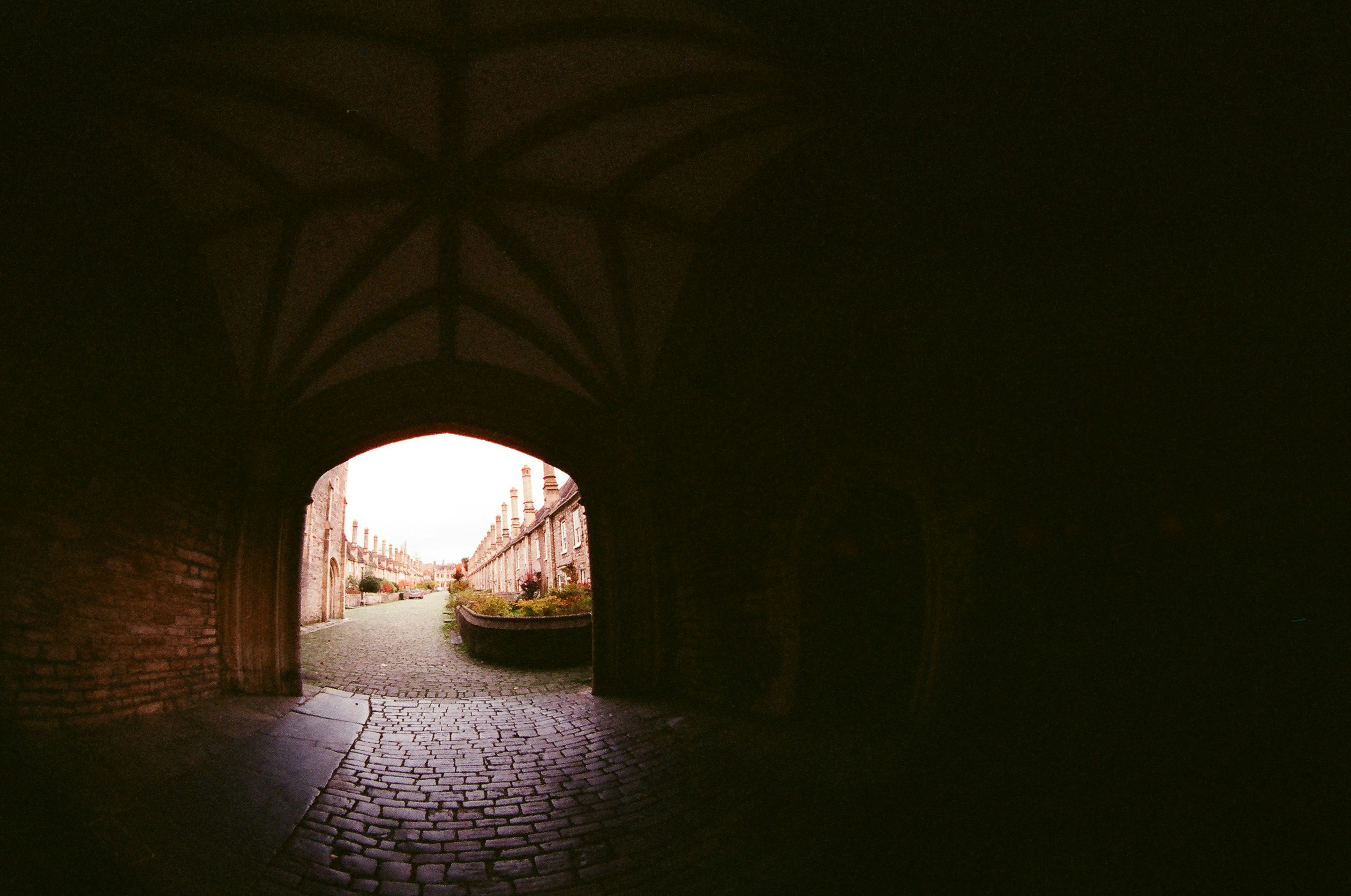 Photo by tanyabarrow