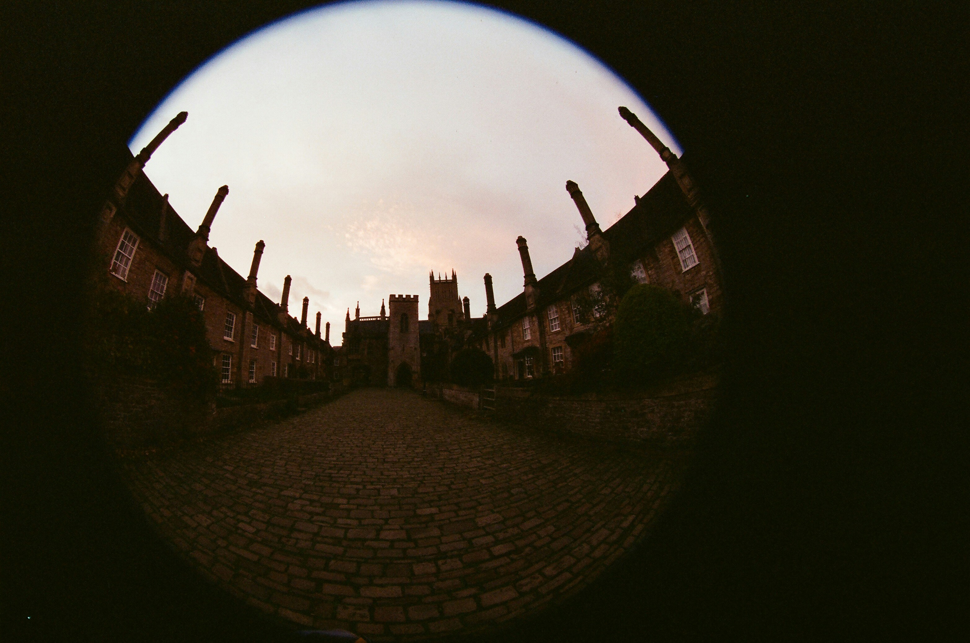 Photo by tanyabarrow