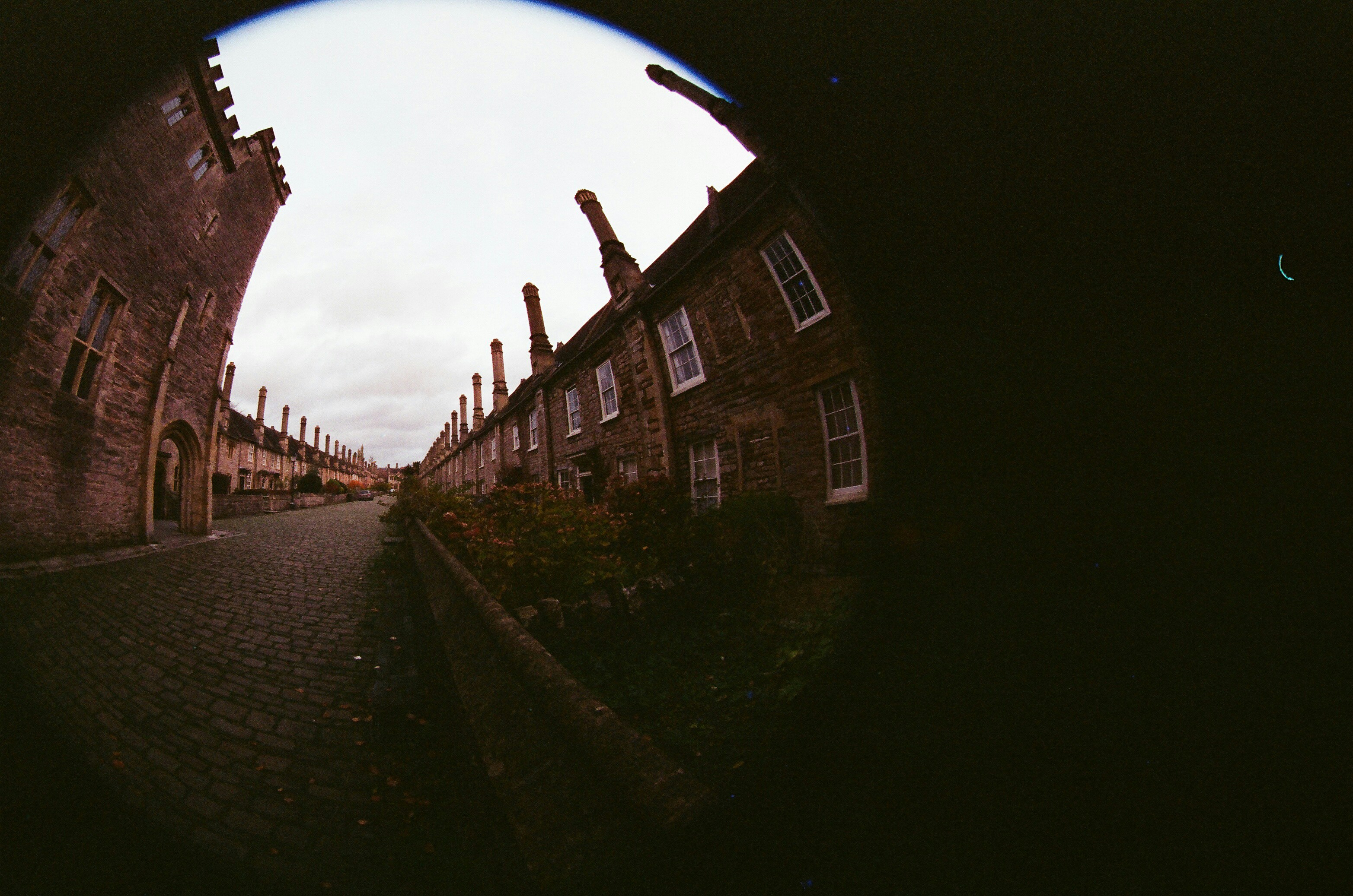 Photo by tanyabarrow