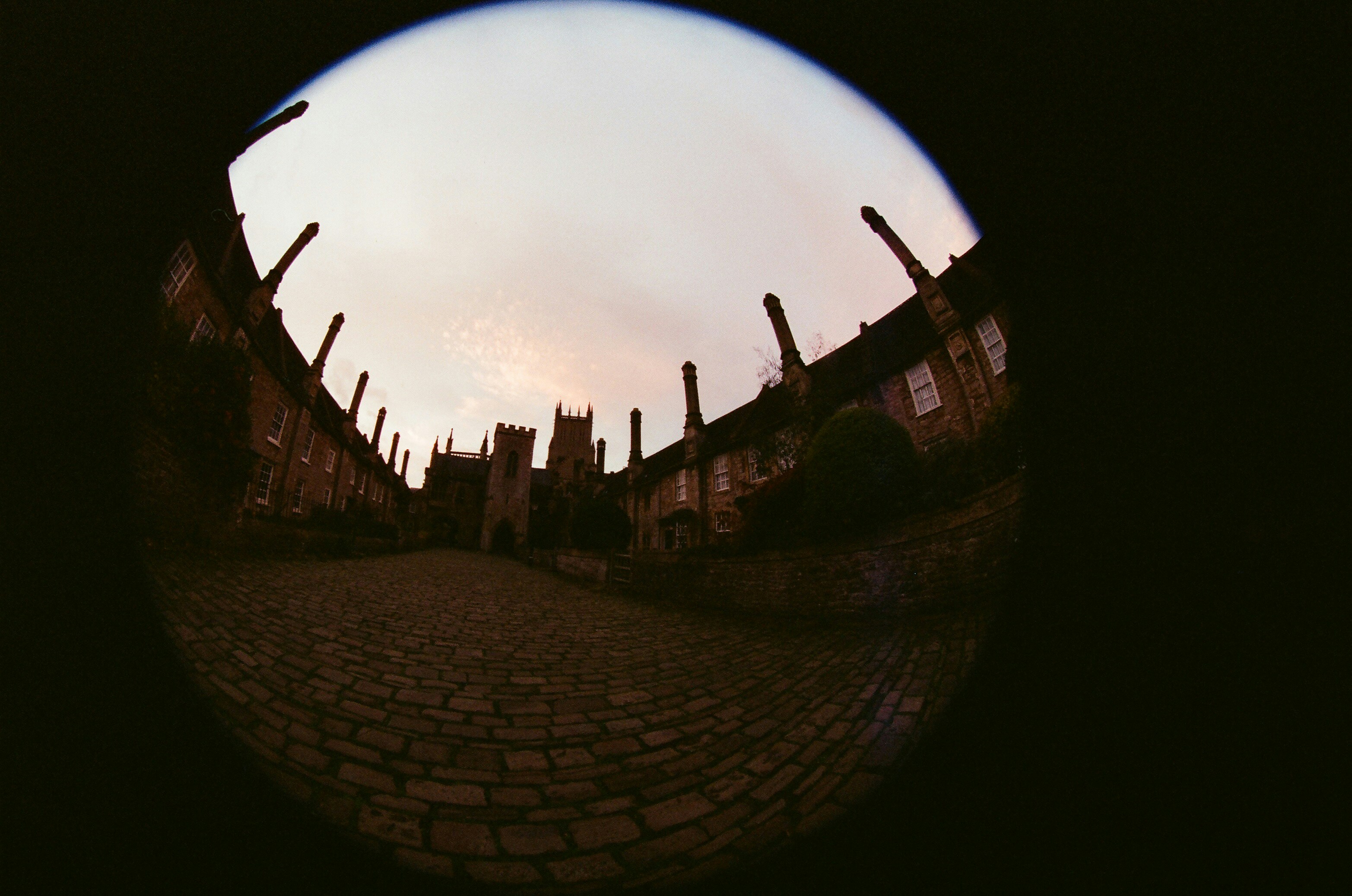 Photo by tanyabarrow