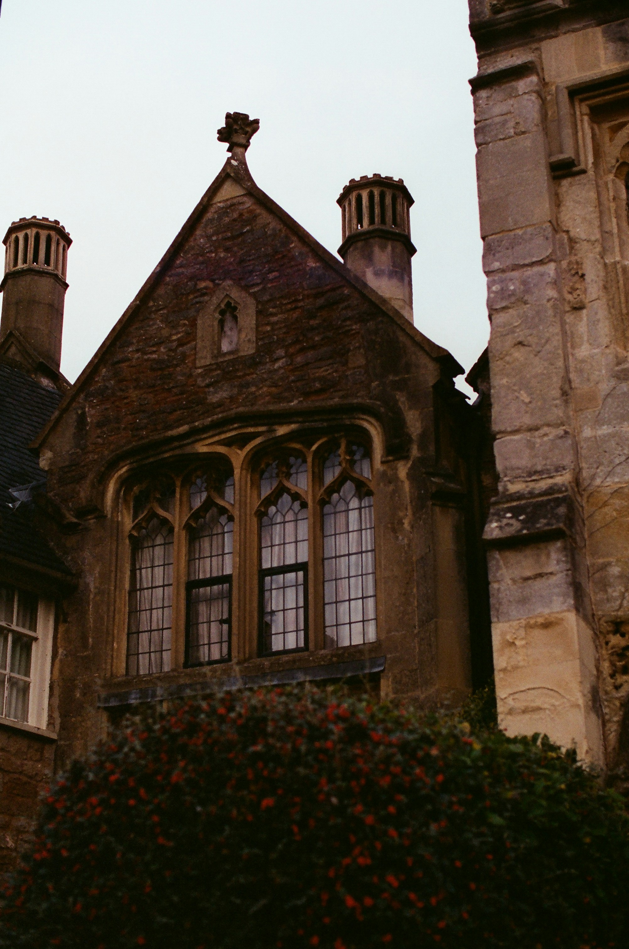 Photo by tanyabarrow