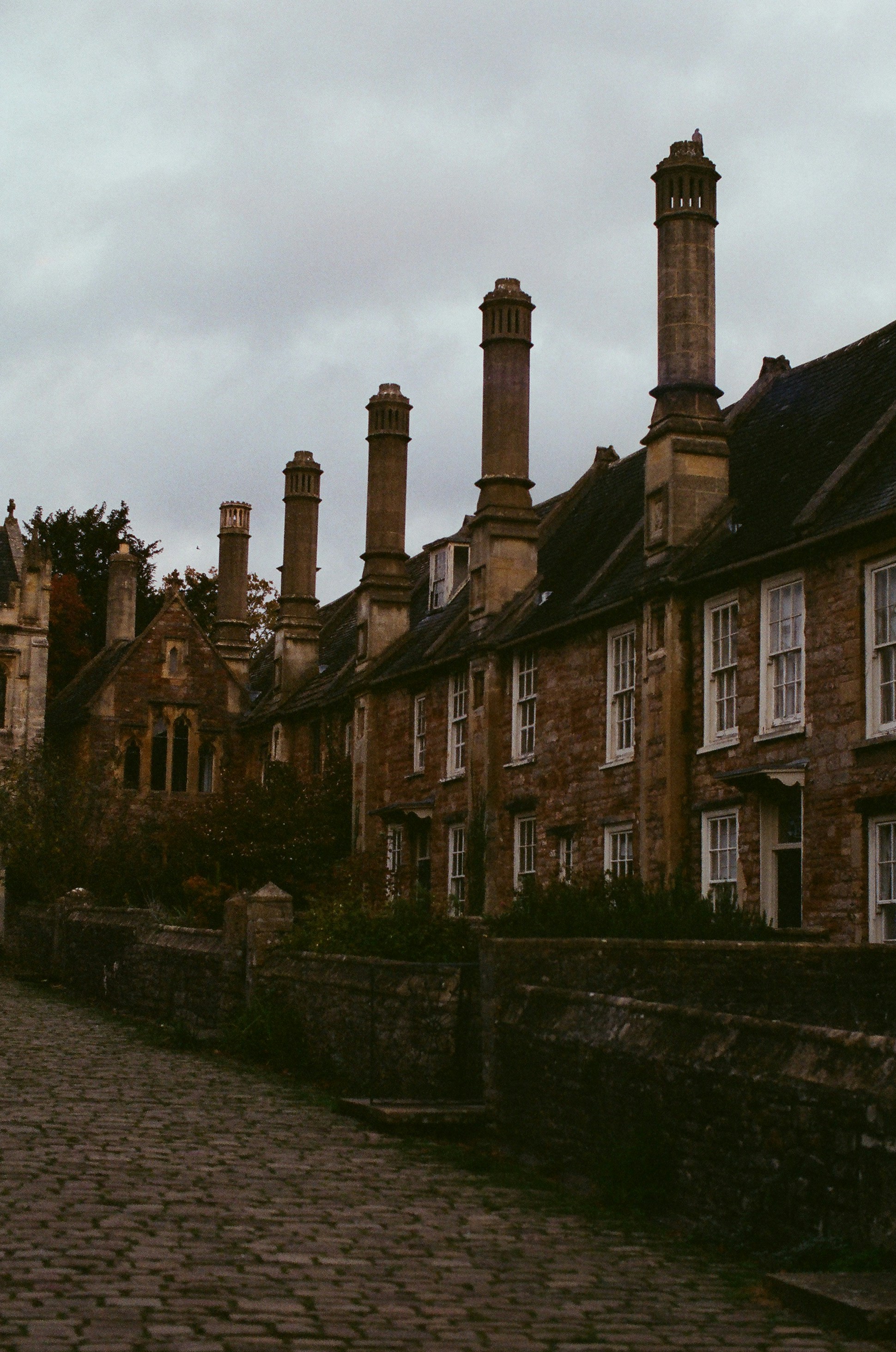 Photo by tanyabarrow