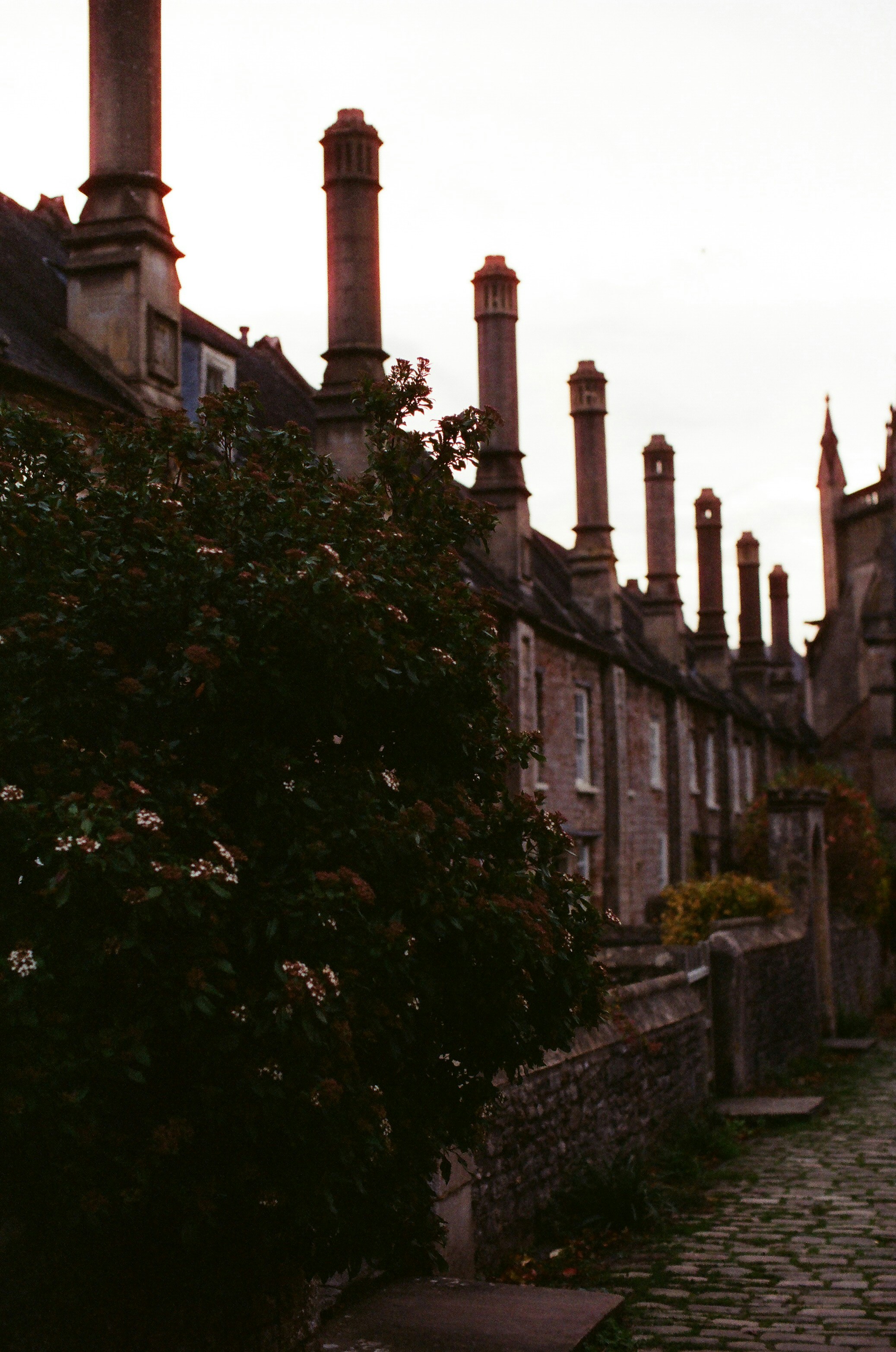 Photo by tanyabarrow