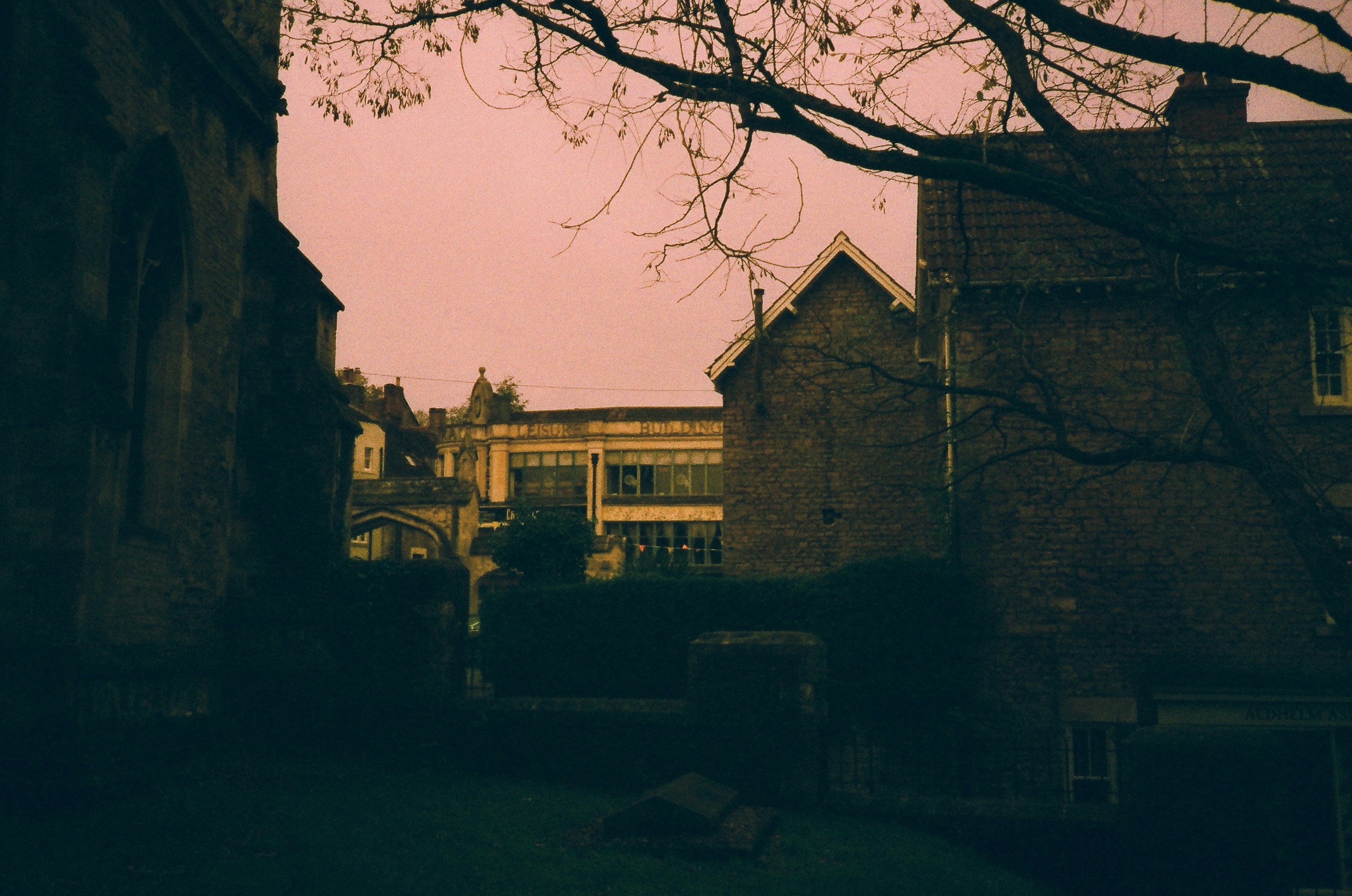 Photo by tanyabarrow