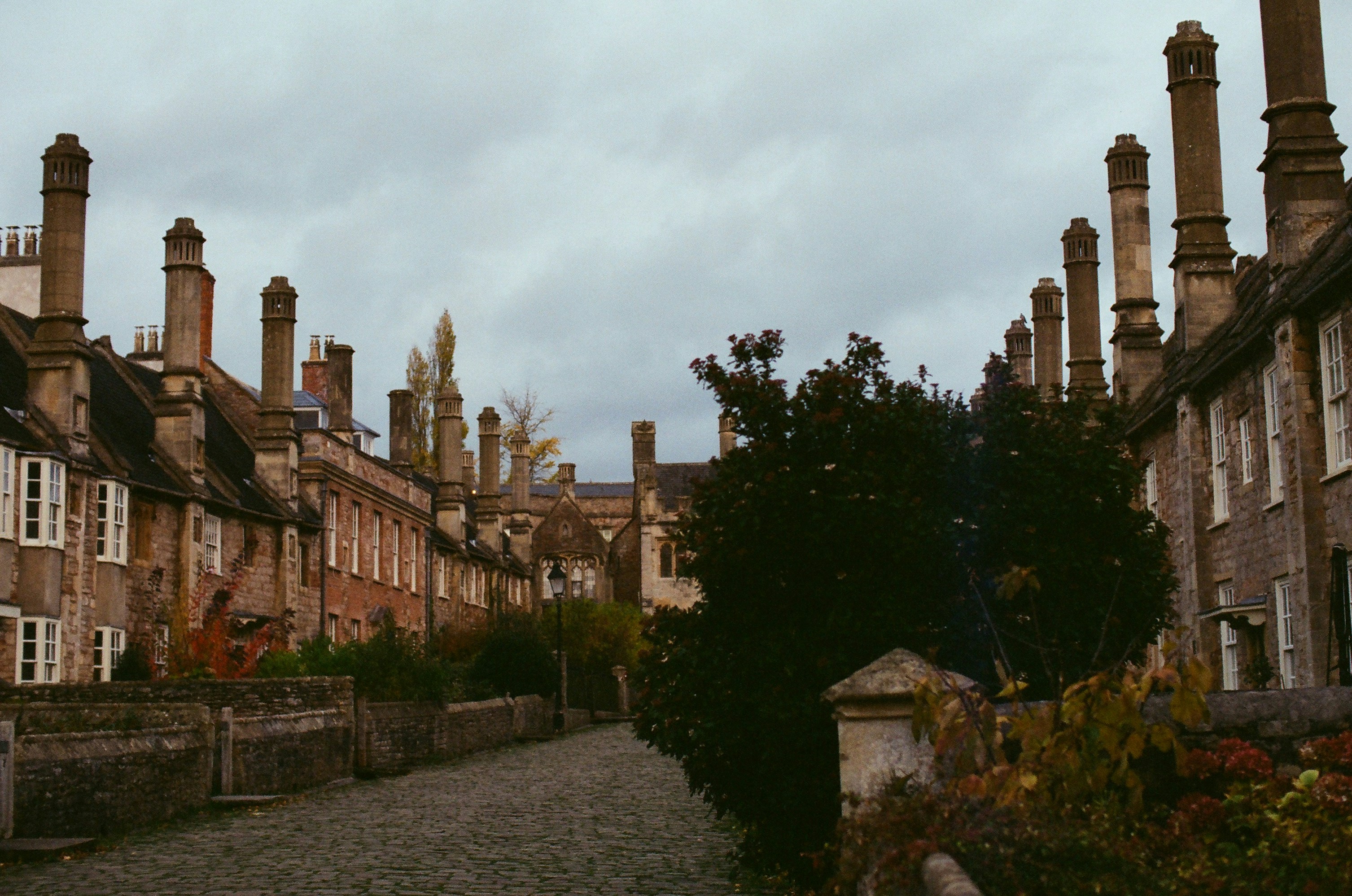 Photo by tanyabarrow