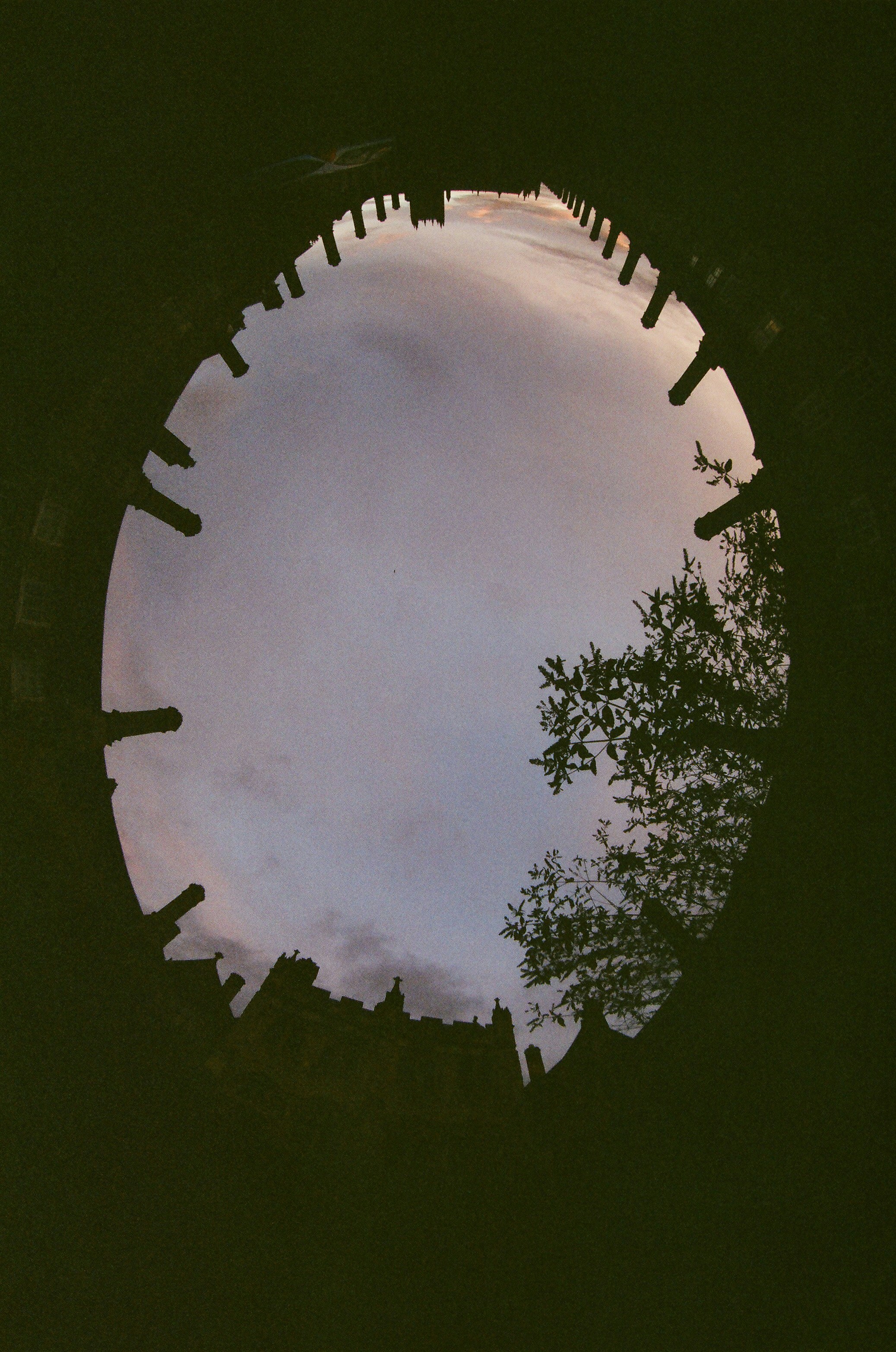 Photo by tanyabarrow