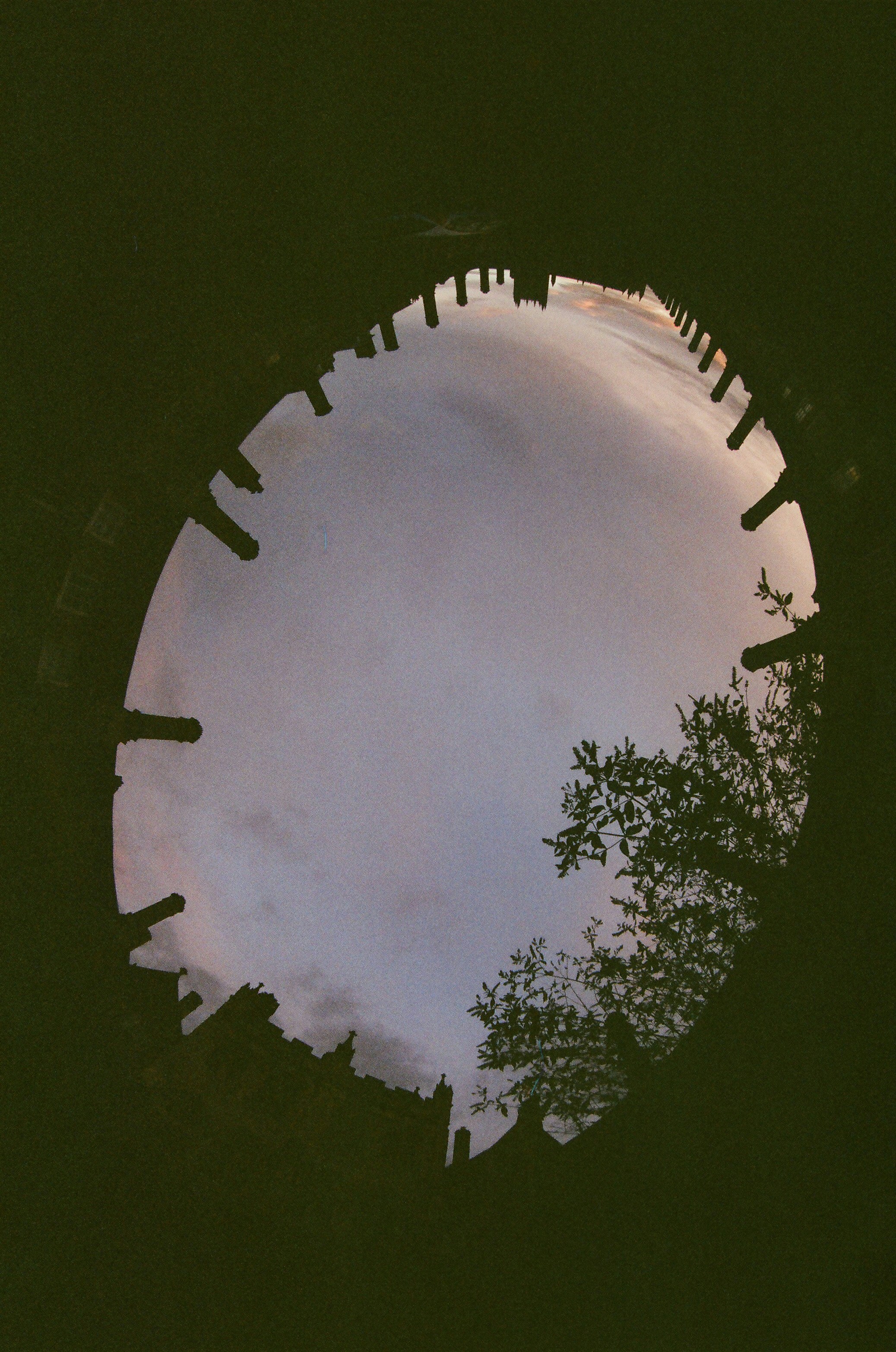 Photo by tanyabarrow