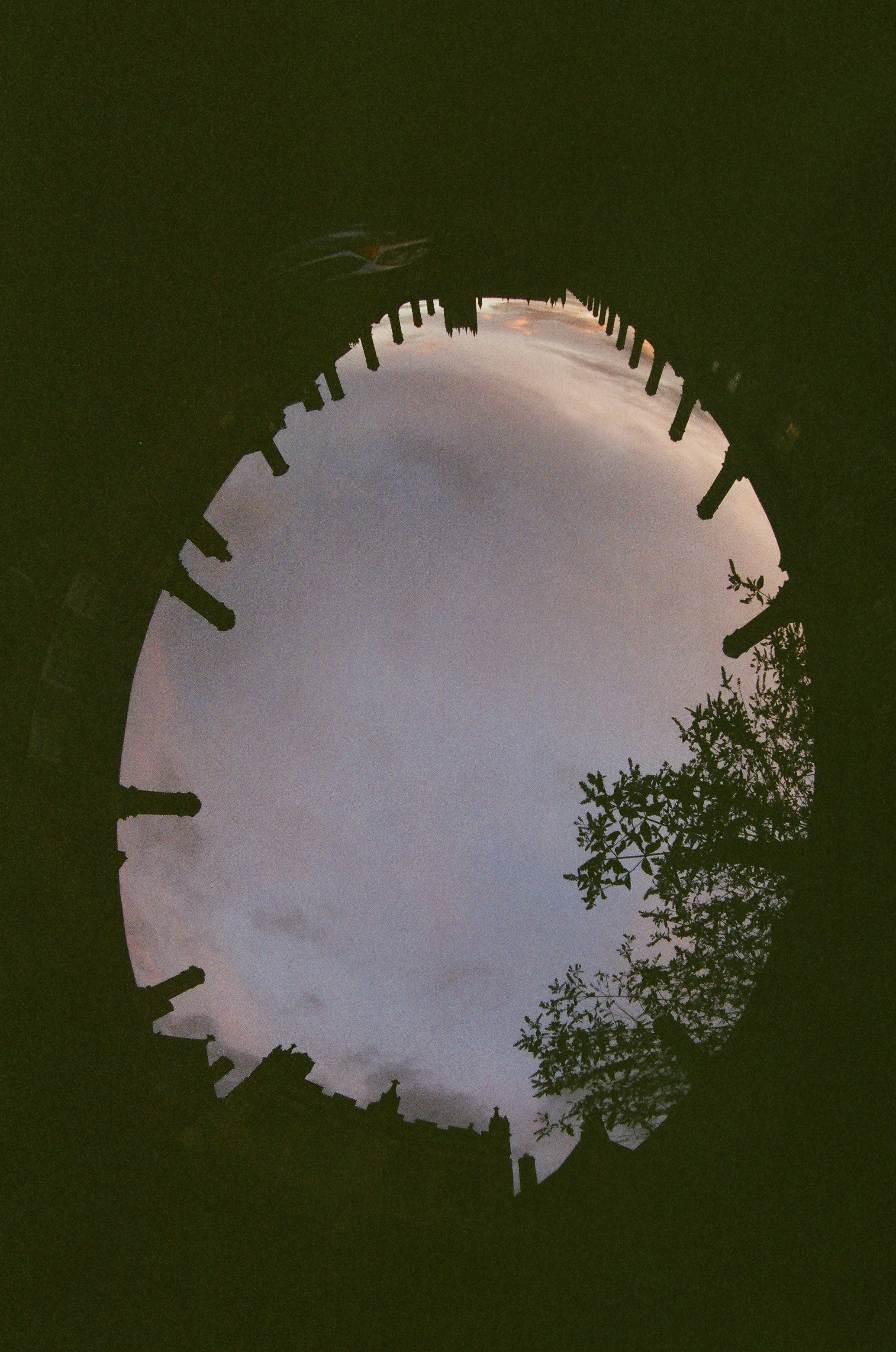 Photo by tanyabarrow