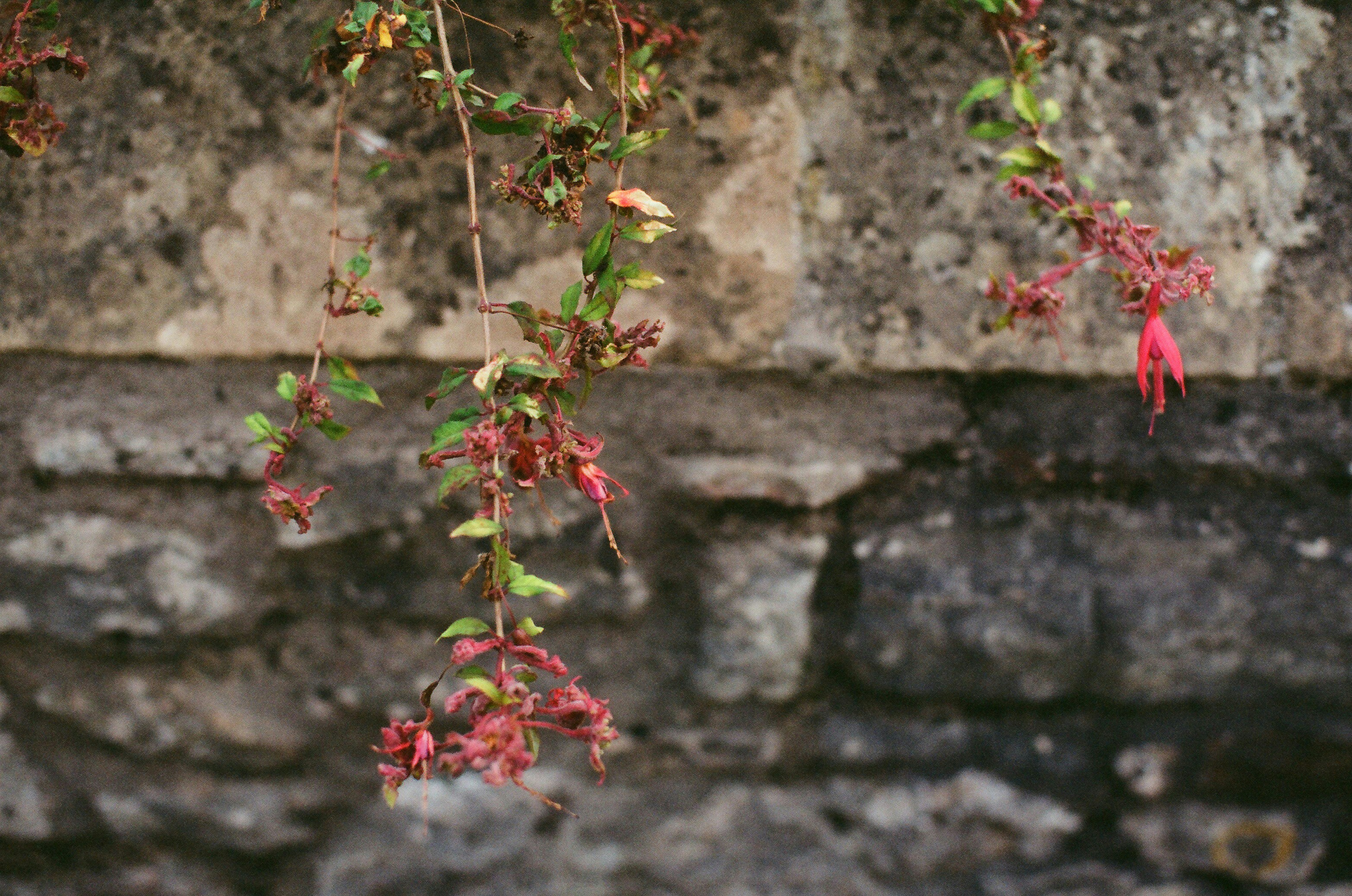 Photo by tanyabarrow