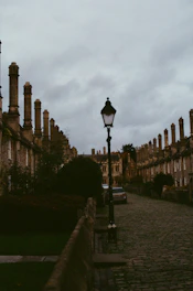 Cobblestone street with old buildings and lamppost.