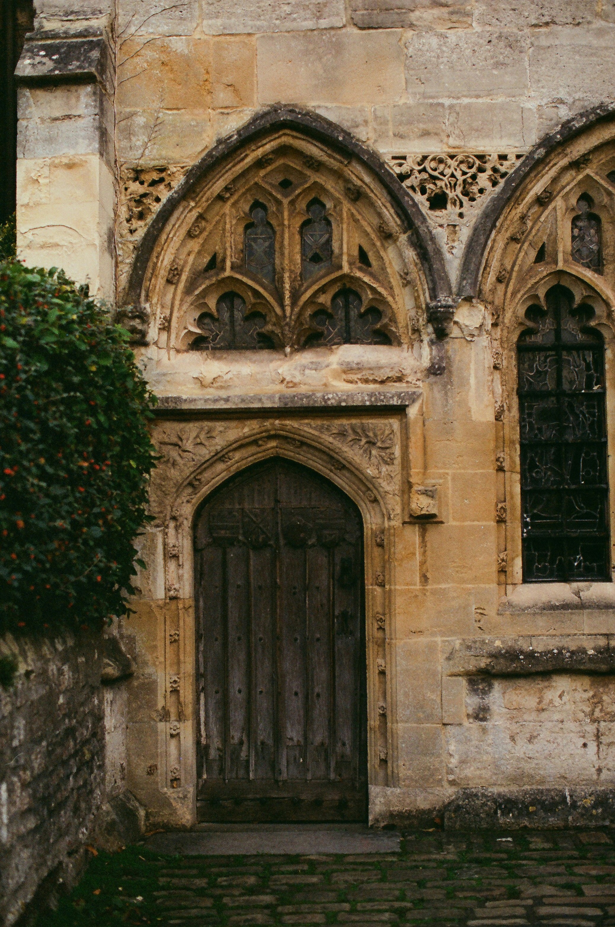 Photo by tanyabarrow