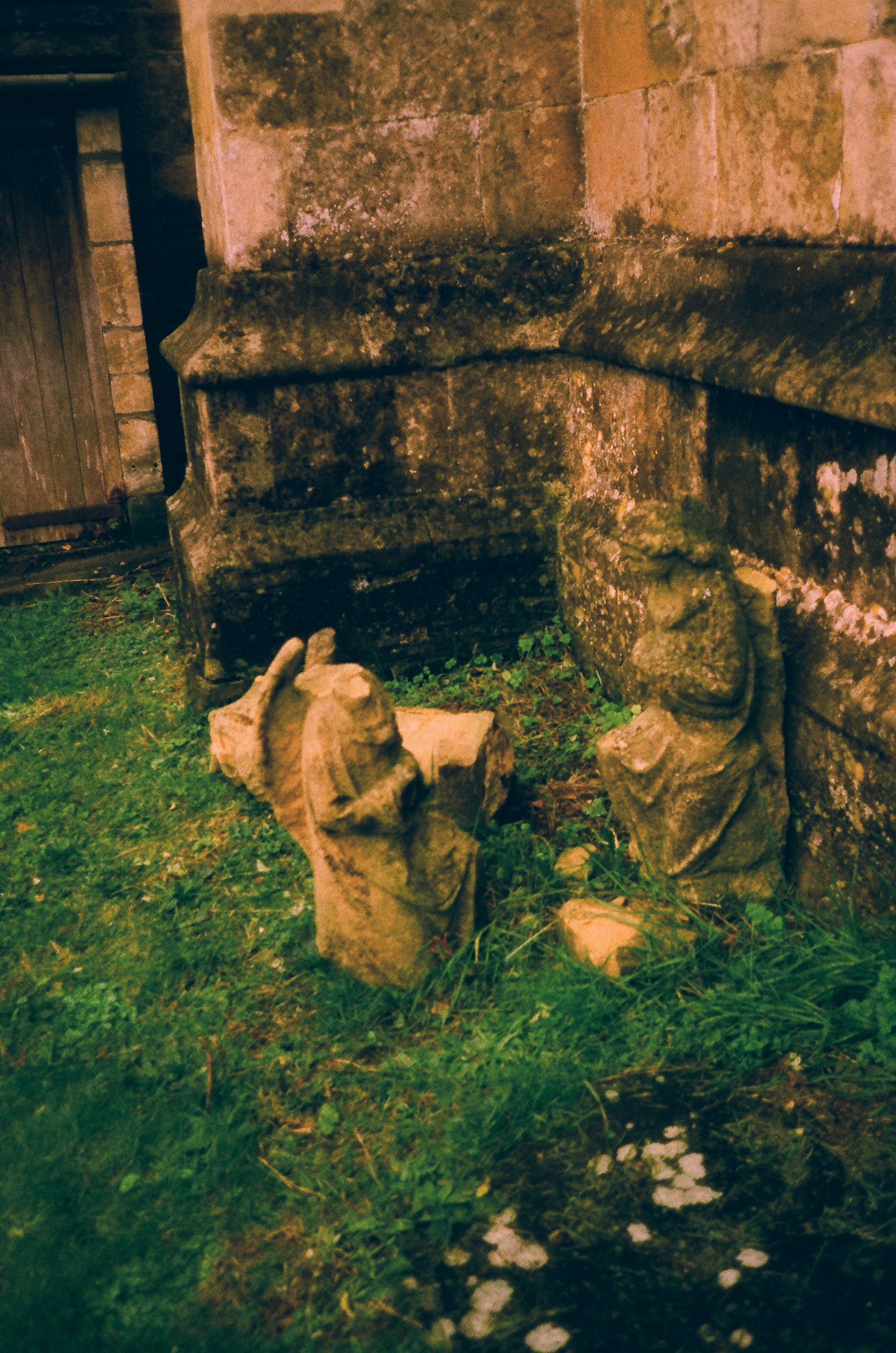 Photo by tanyabarrow