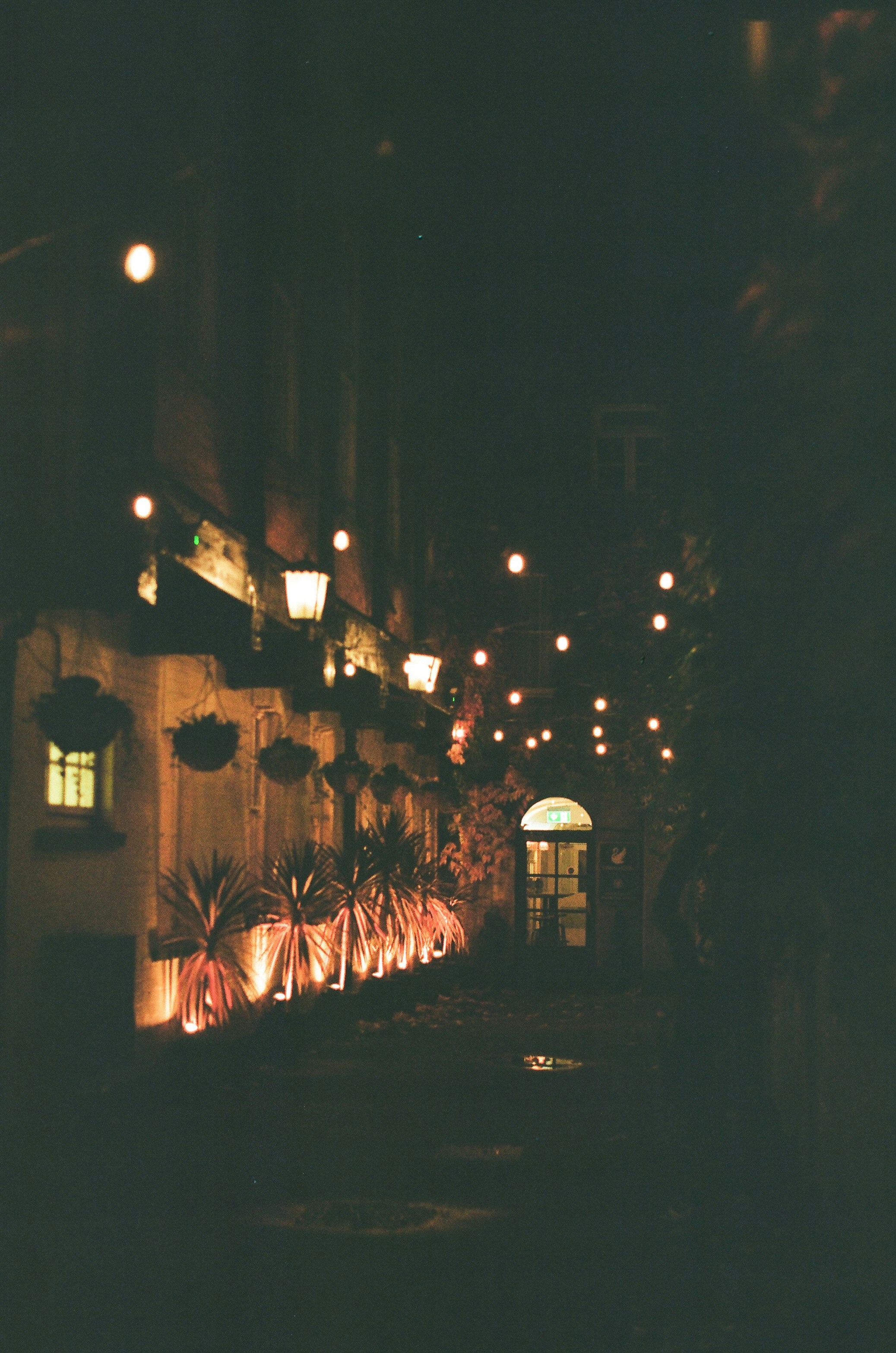 Photo by tanyabarrow