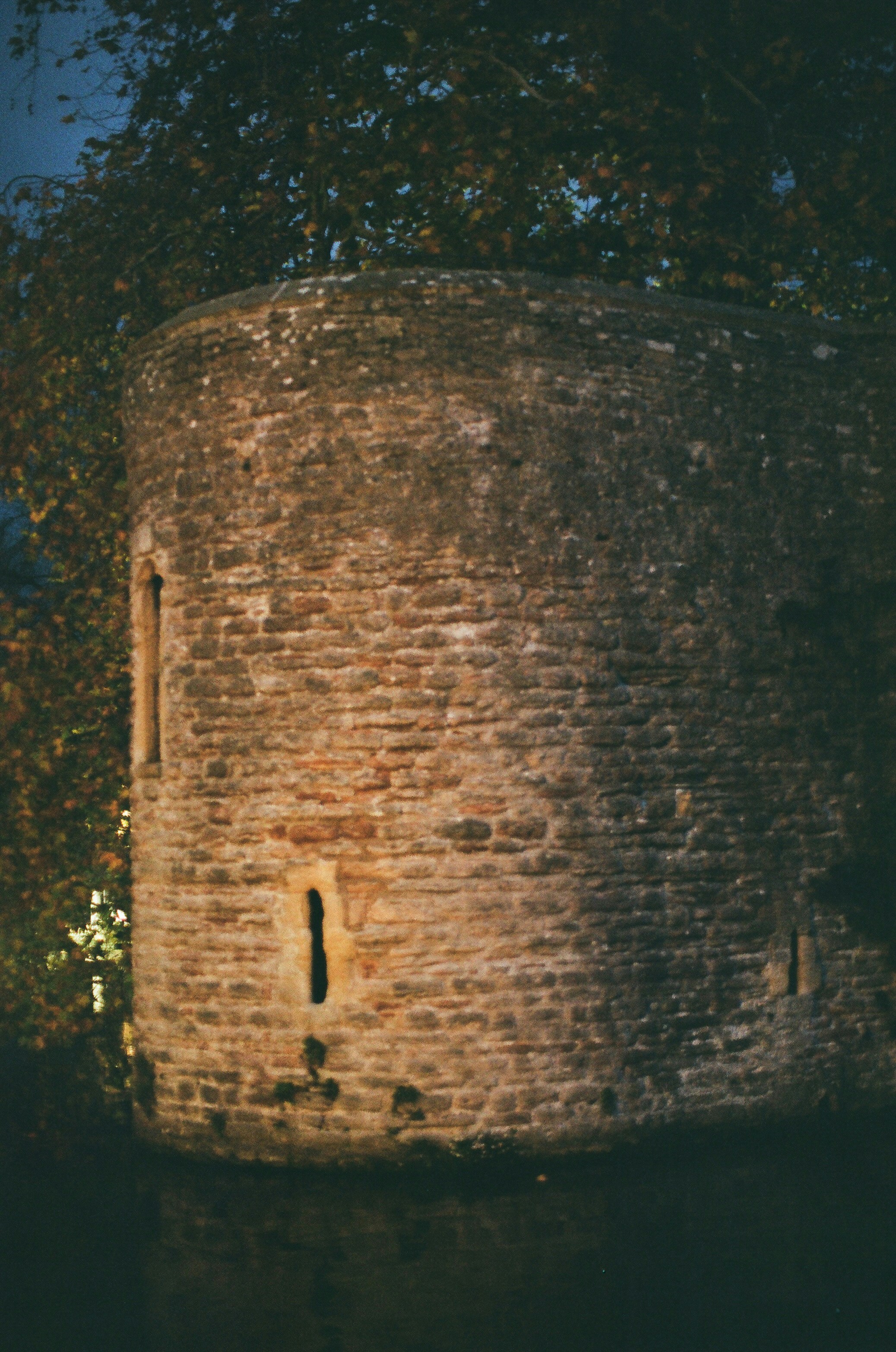 Photo by tanyabarrow