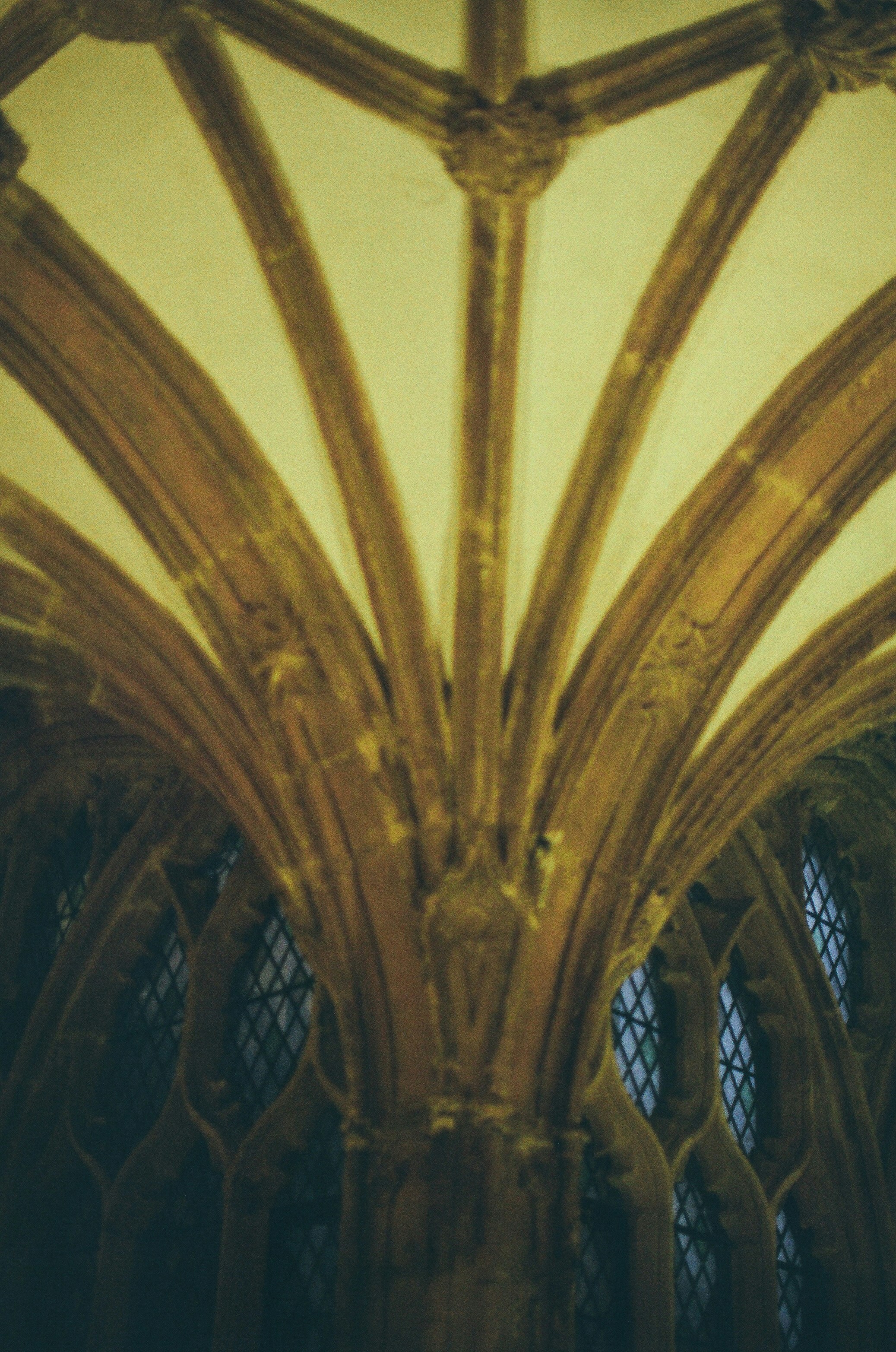 Photo by tanyabarrow