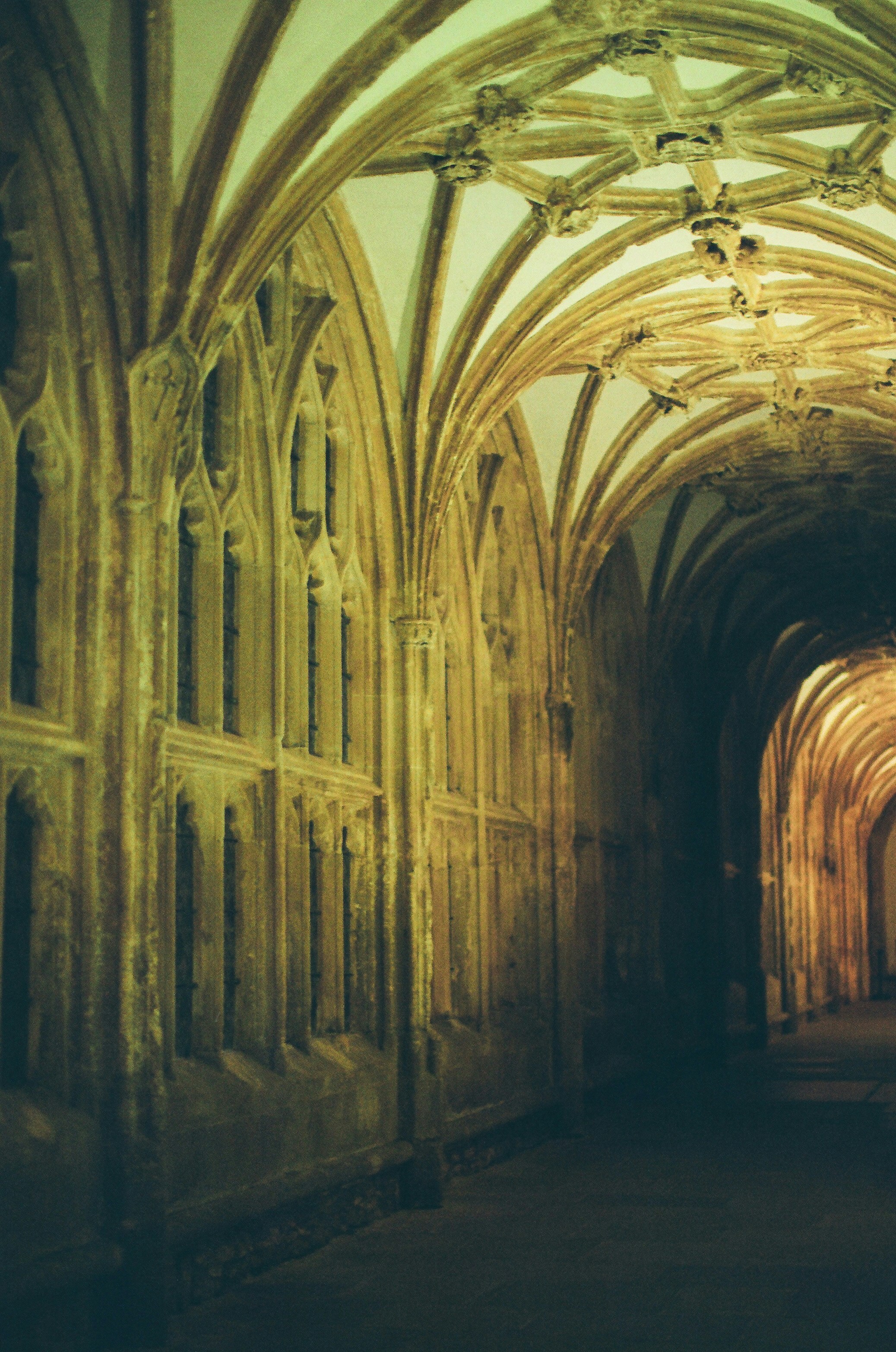 Photo by tanyabarrow