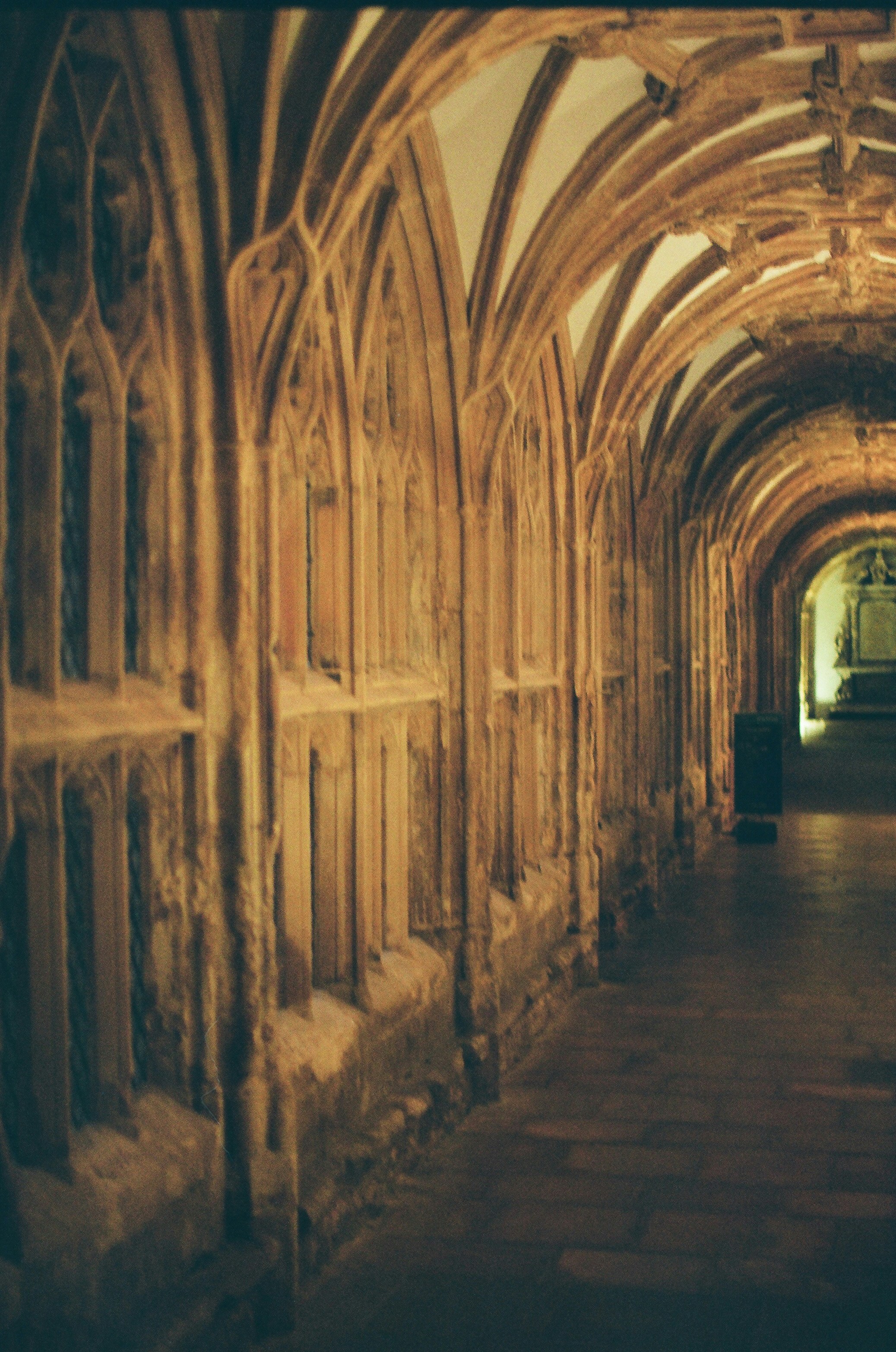 Photo by tanyabarrow