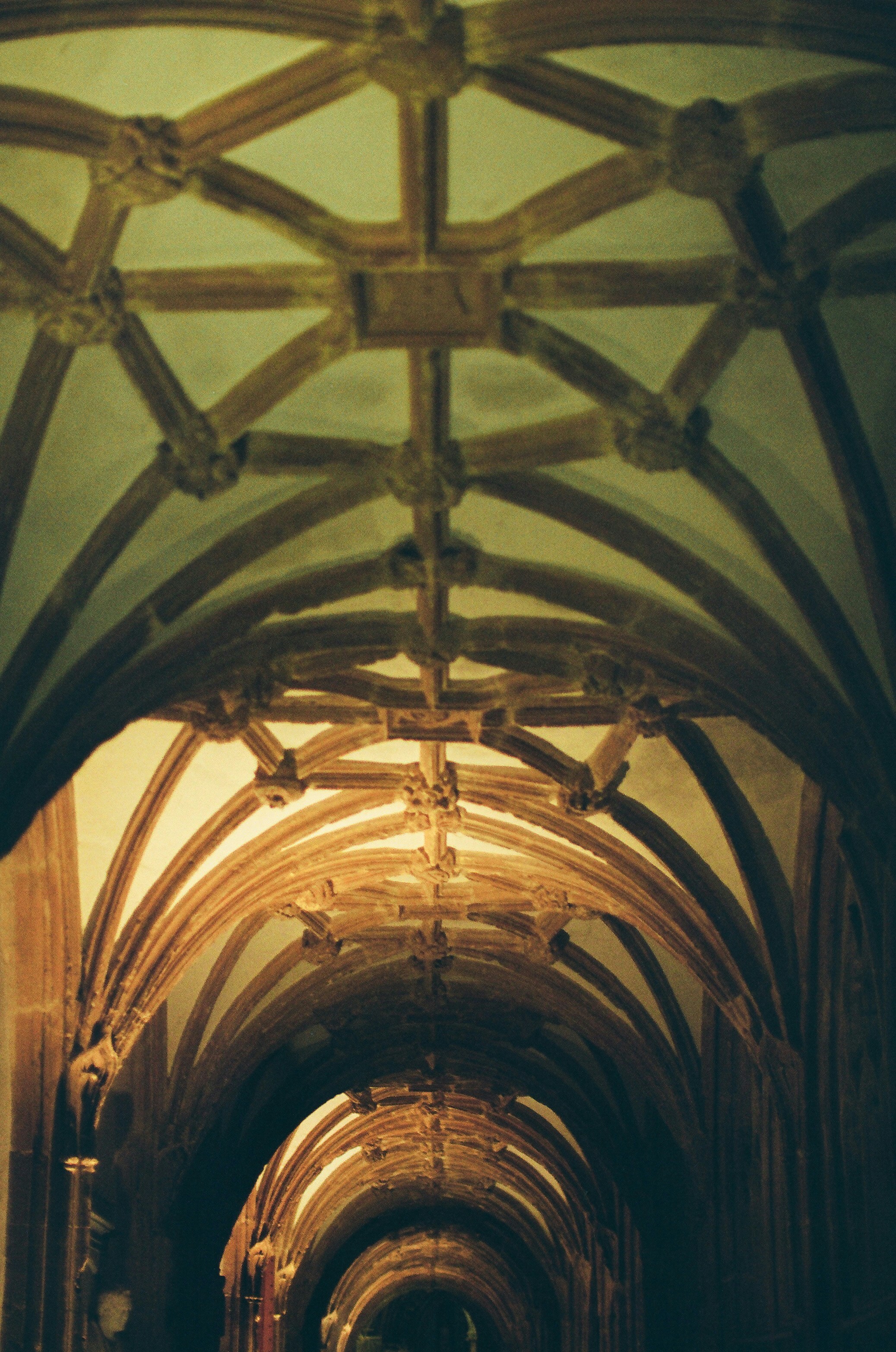 Photo by tanyabarrow