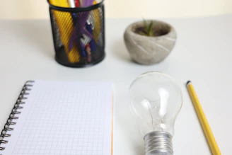 Notebook, lightbulb, pencil, and plant on desk