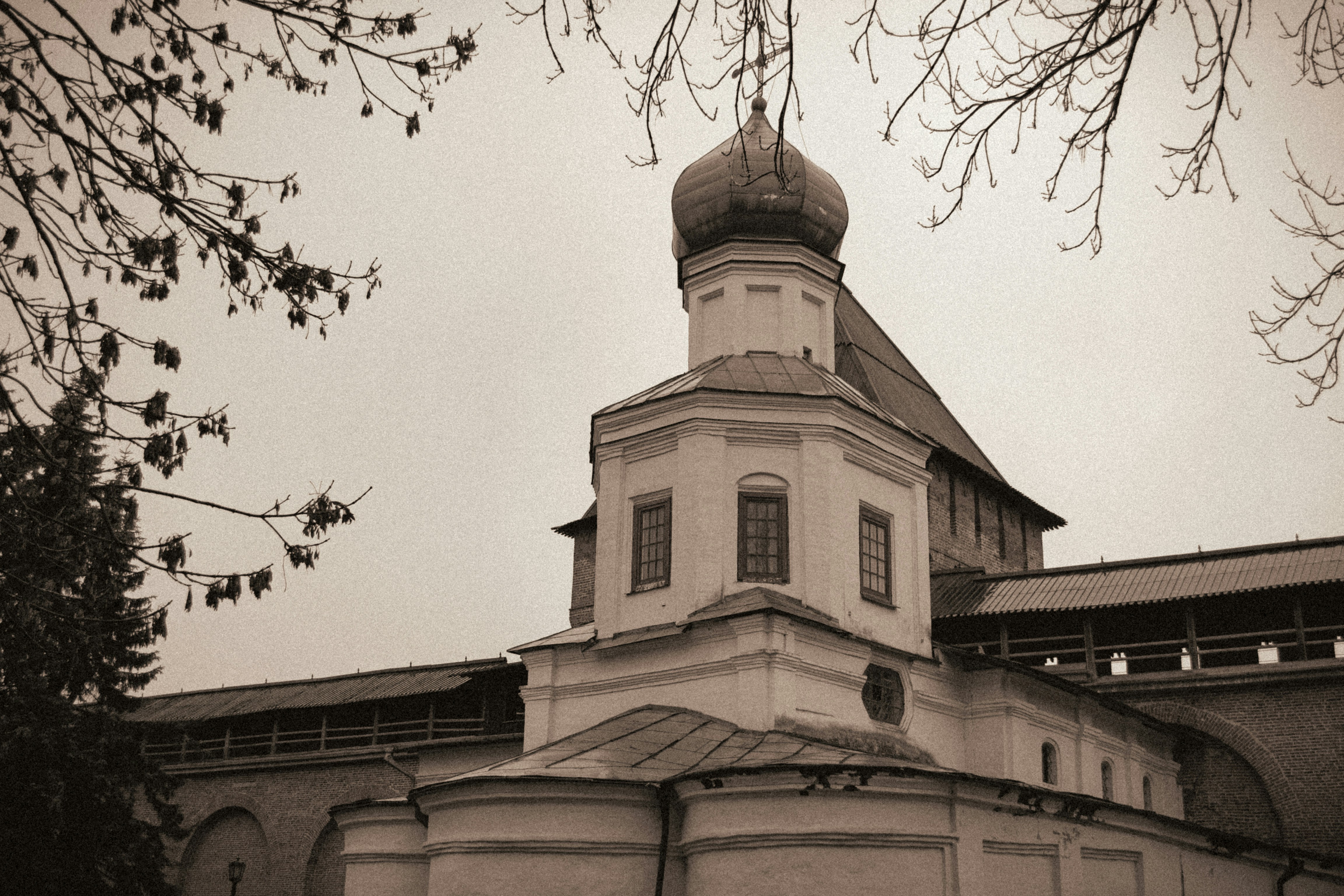 Photo by brunowilson228