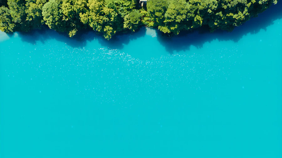 Vibrant turquoise lake meeting green trees from above