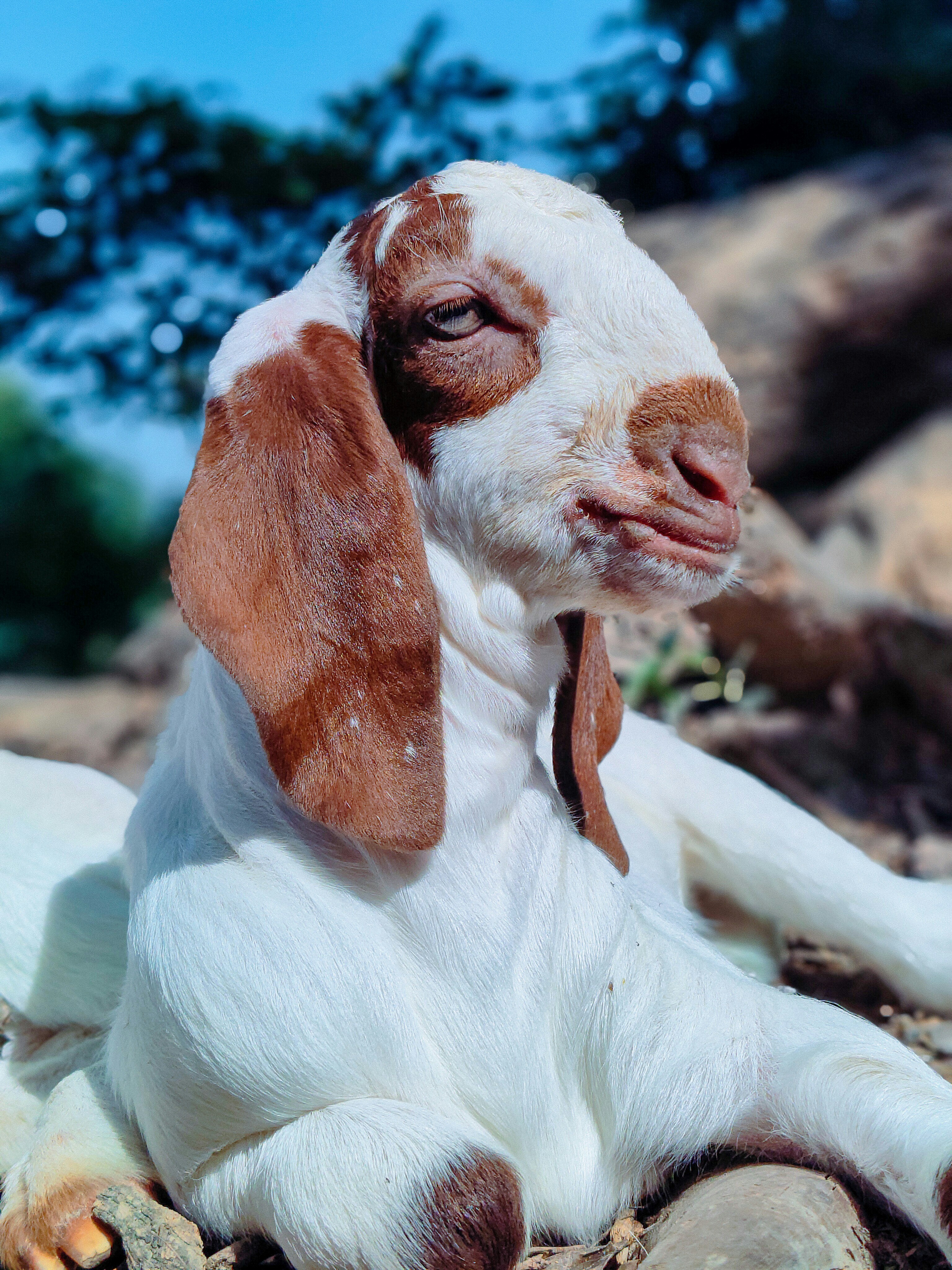 Photo by all_farming_