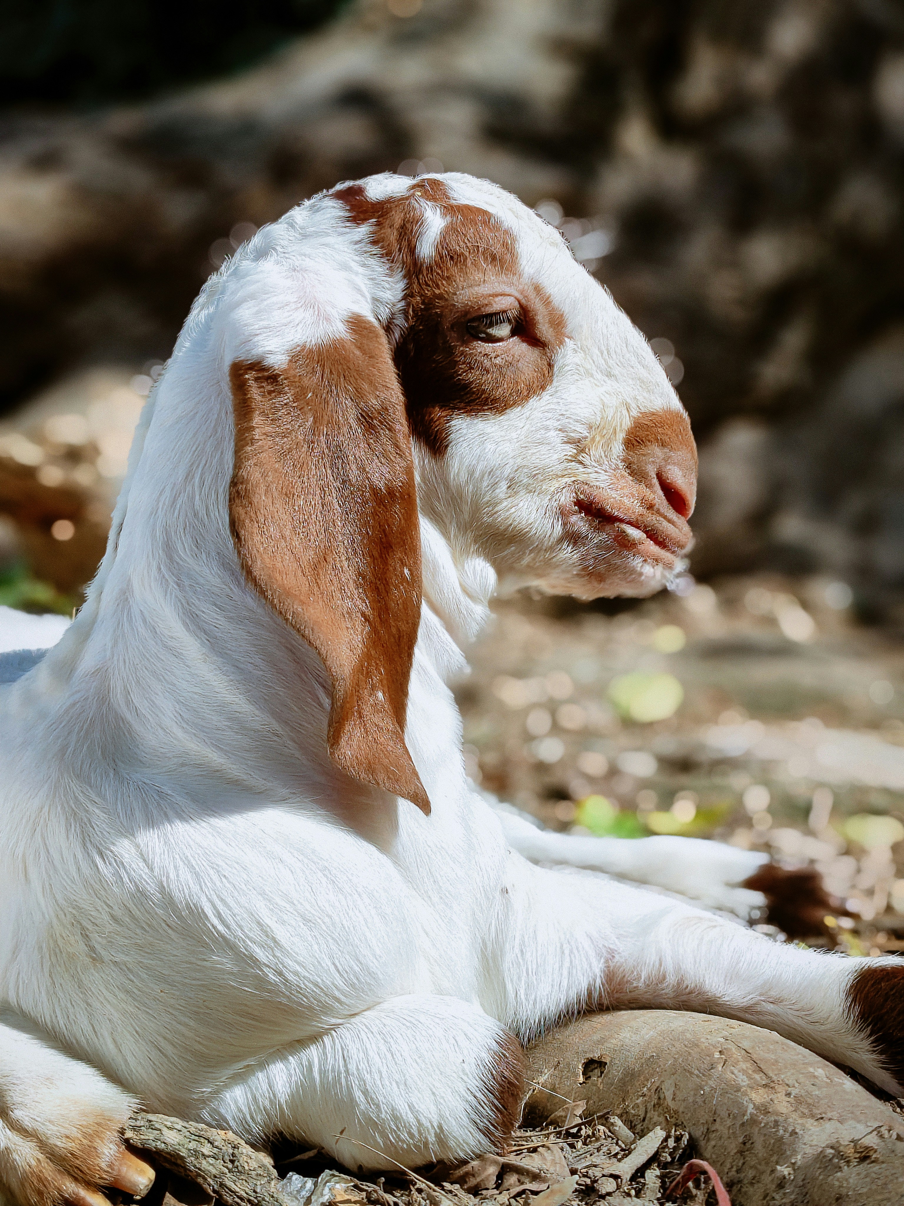 Photo by all_farming_