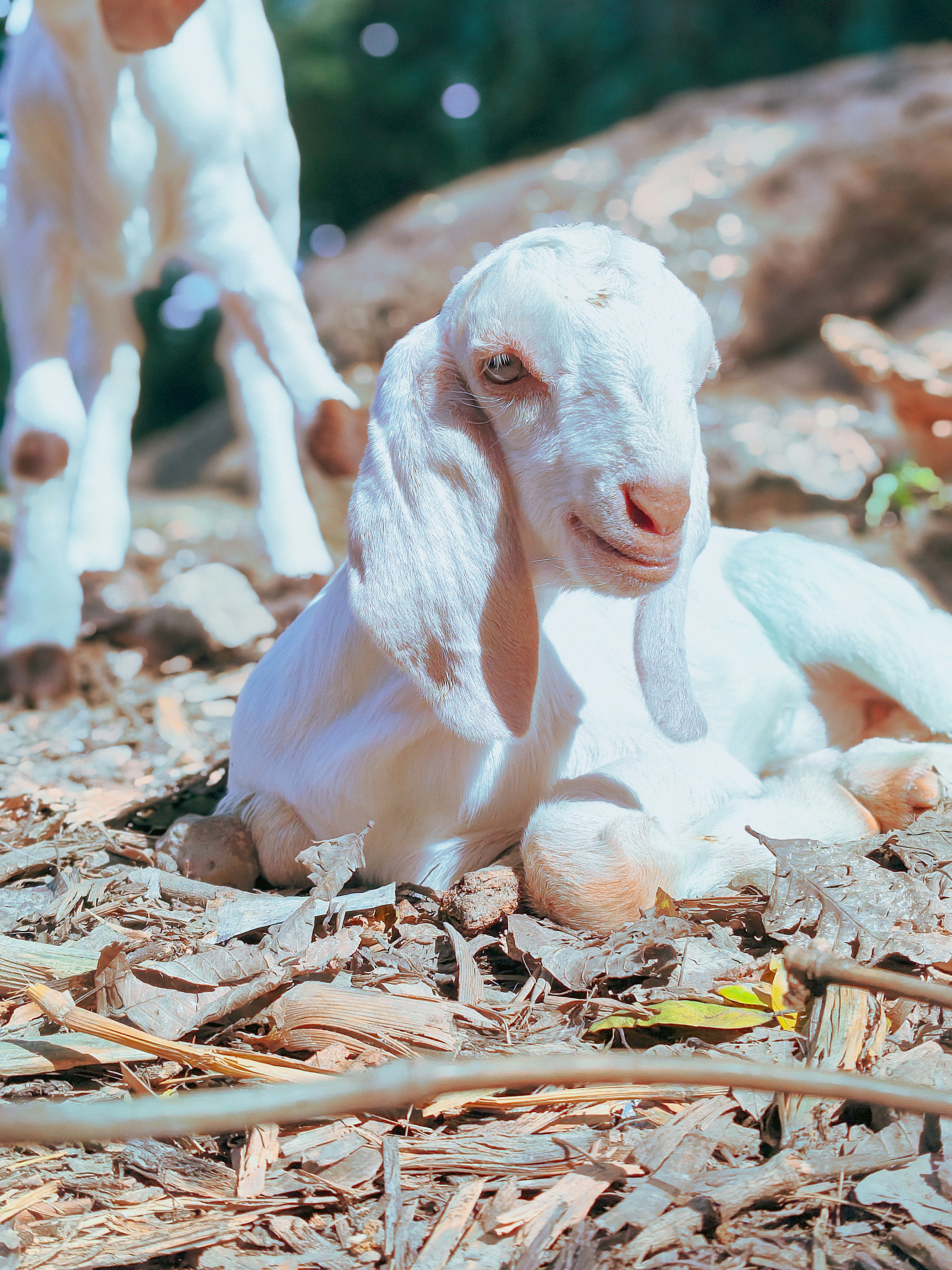 Photo by all_farming_