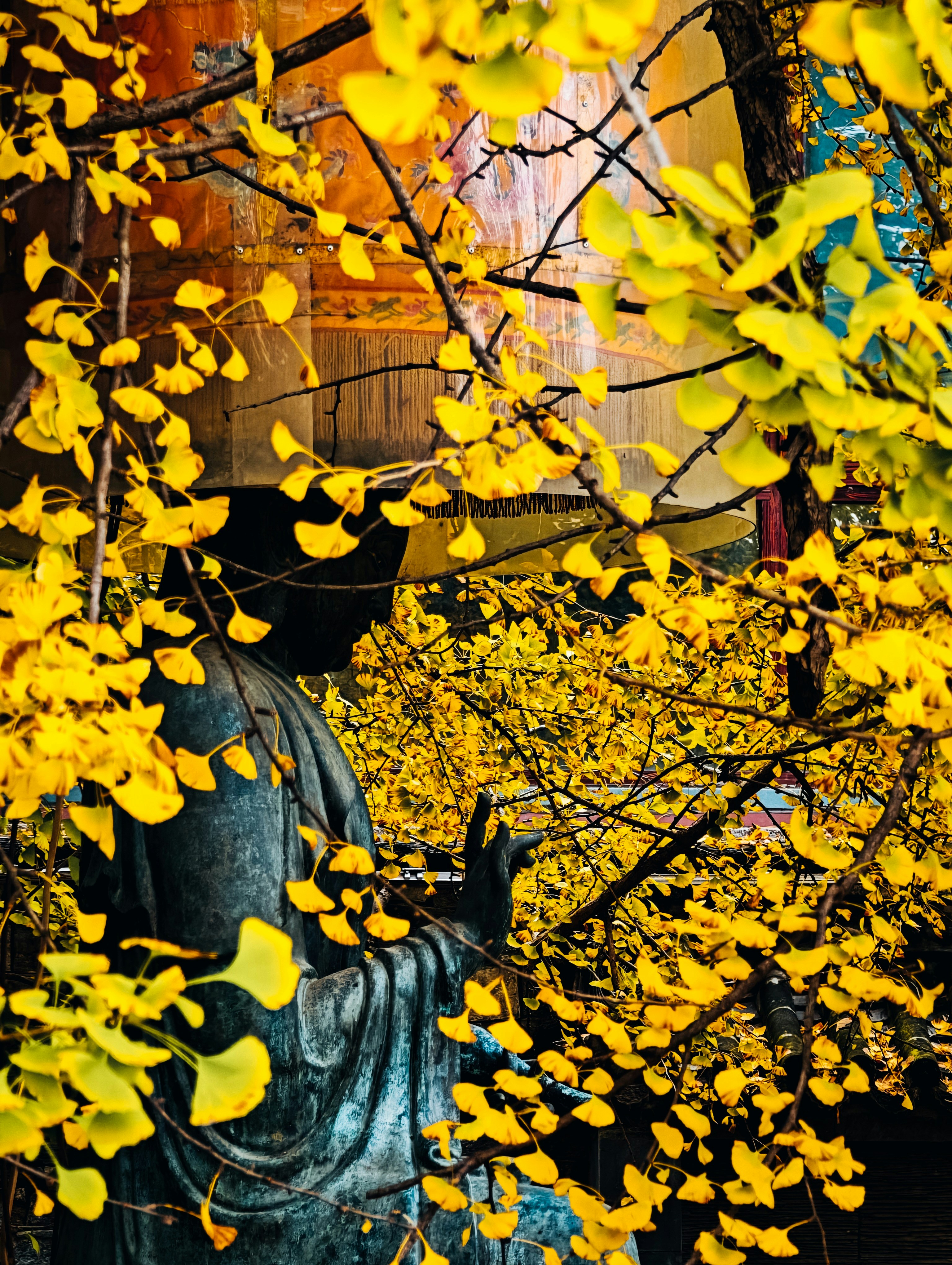 선명한 노란색 단풍으로 둘러싸인 동상.