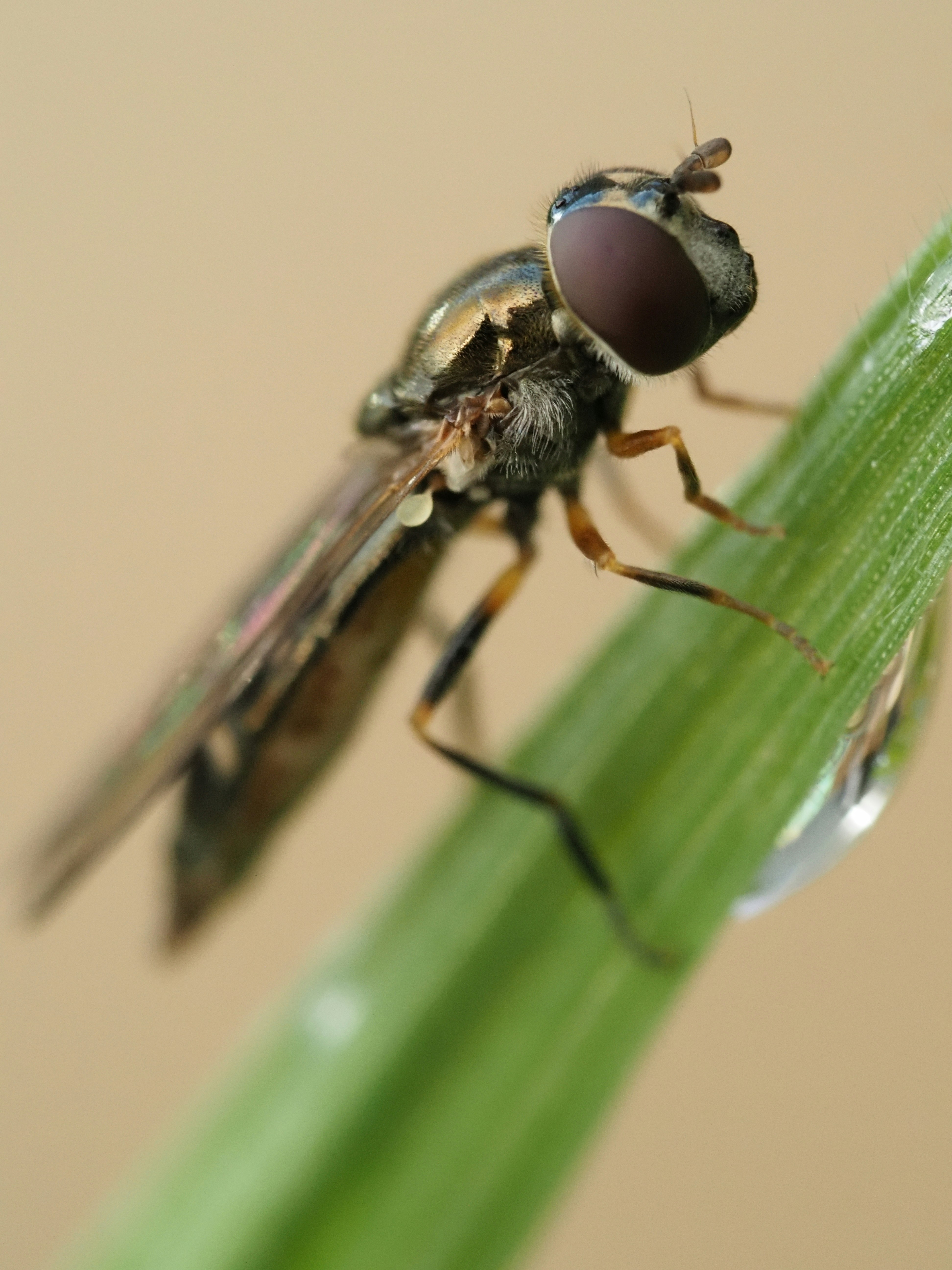 Photo by lottography