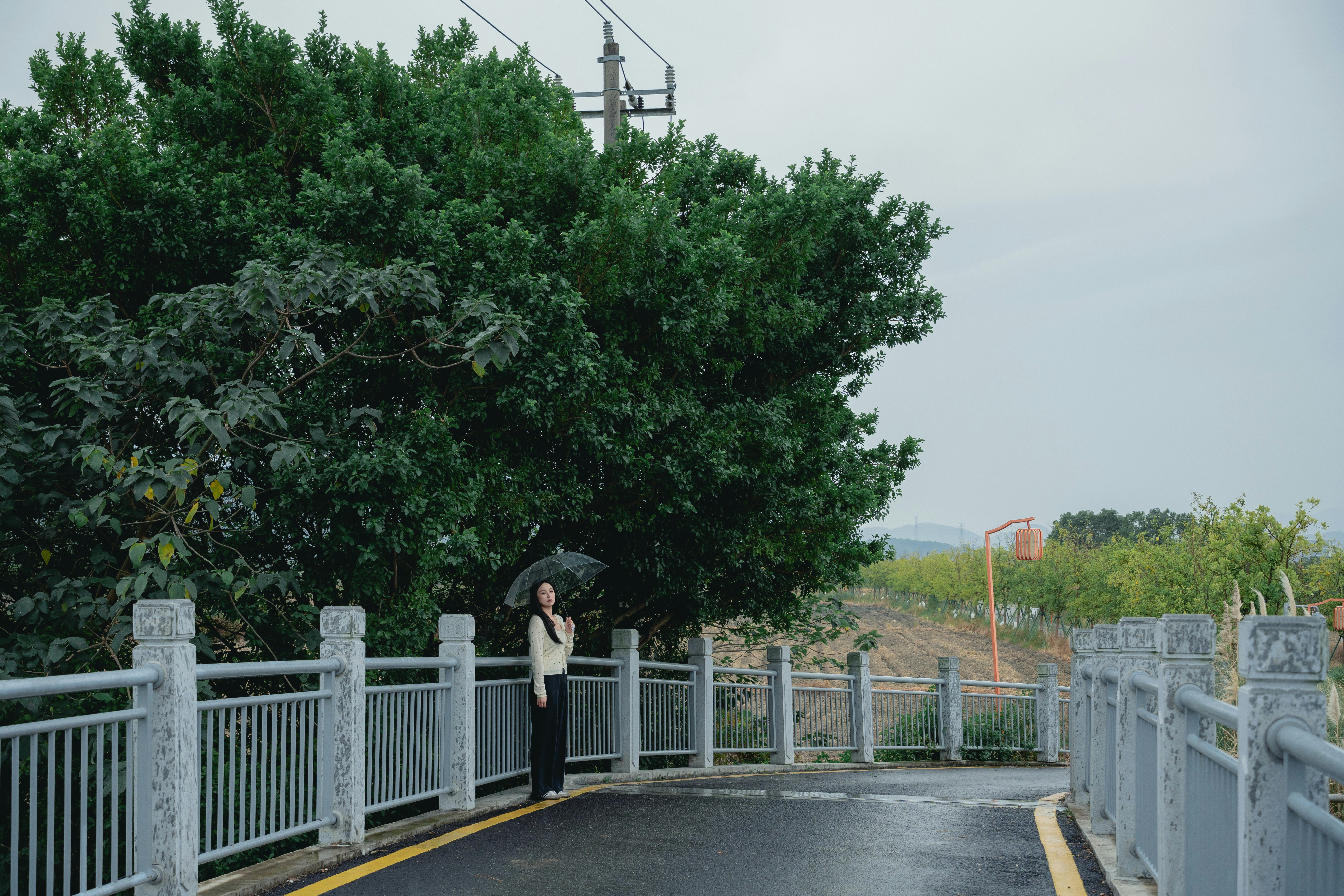 Woman holding umbrella on a wet road near trees.