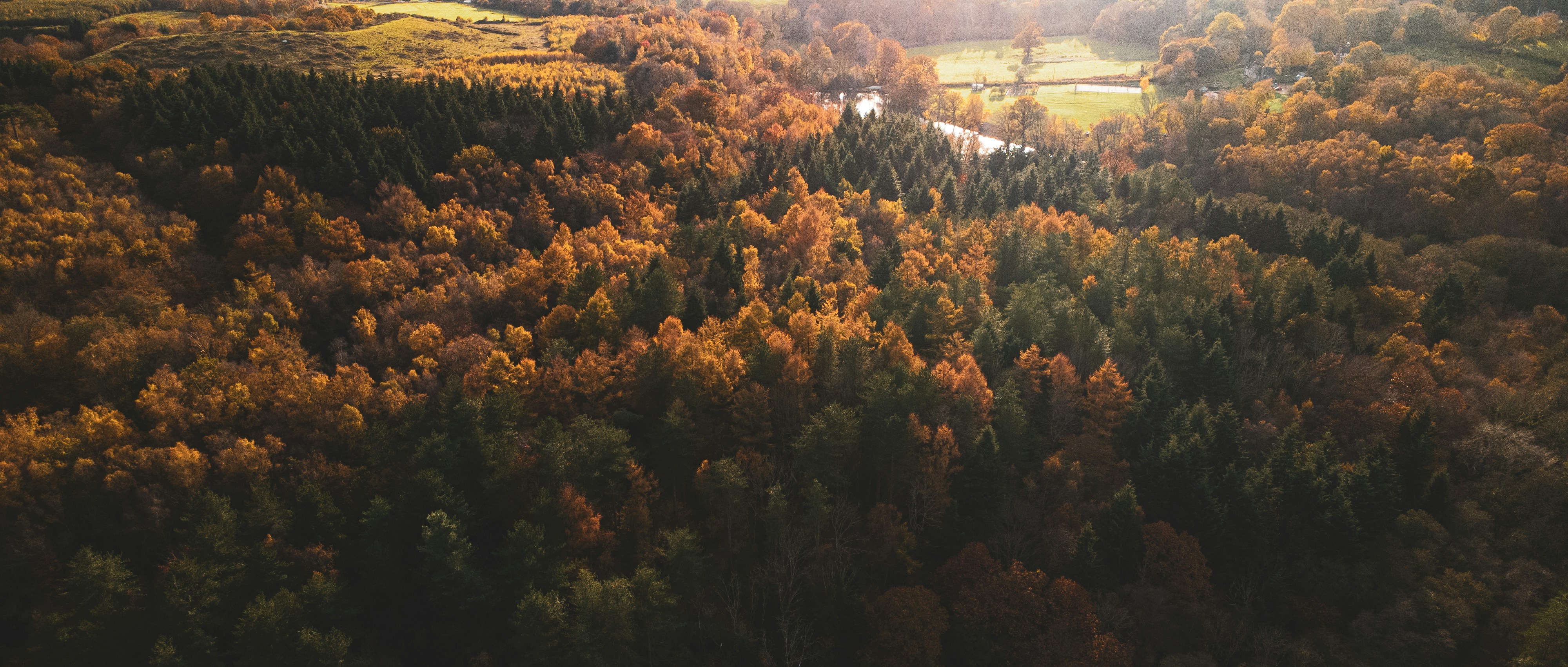 Photo by willcorrigan06