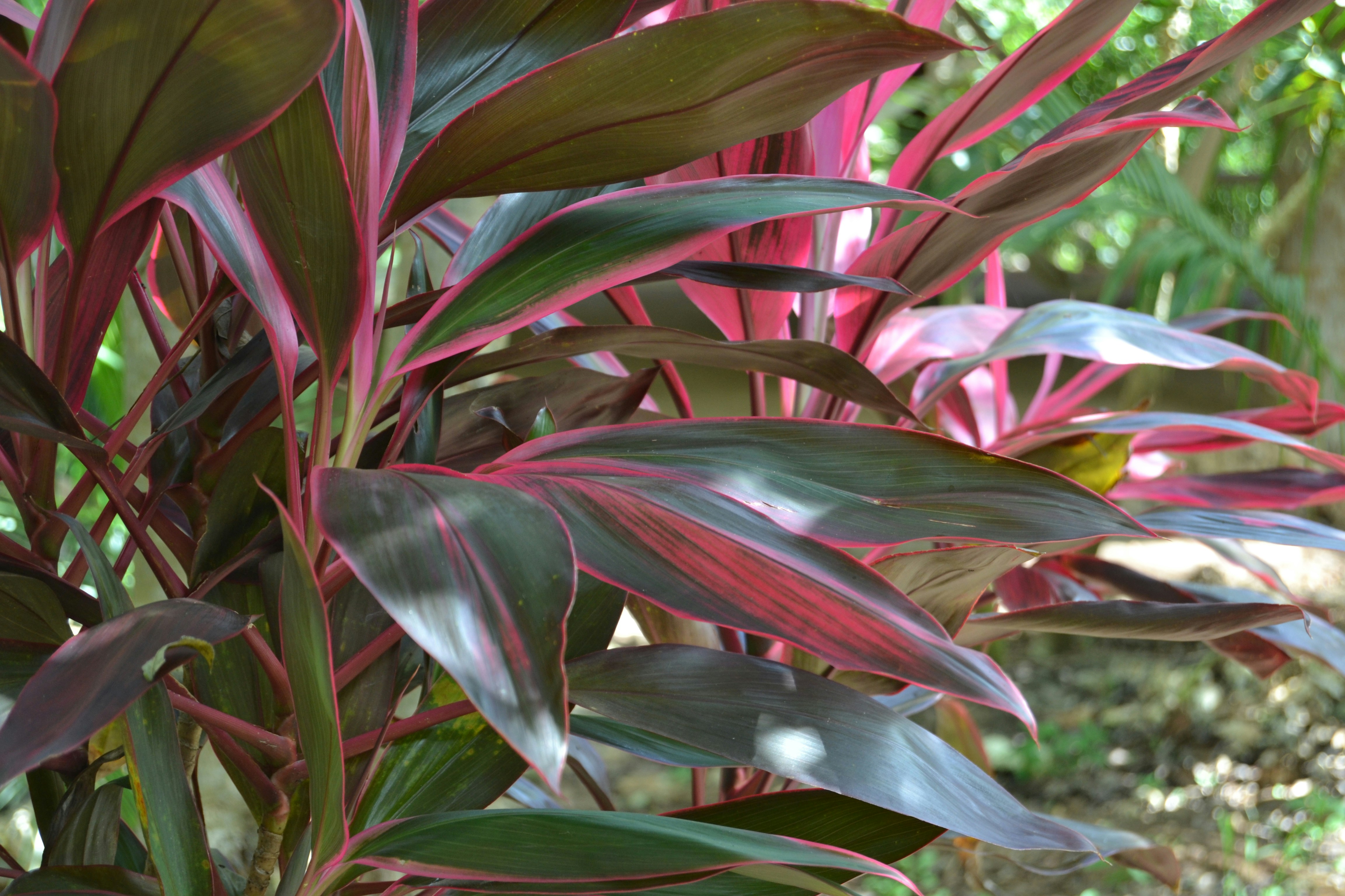 Photo by samusenkomariel