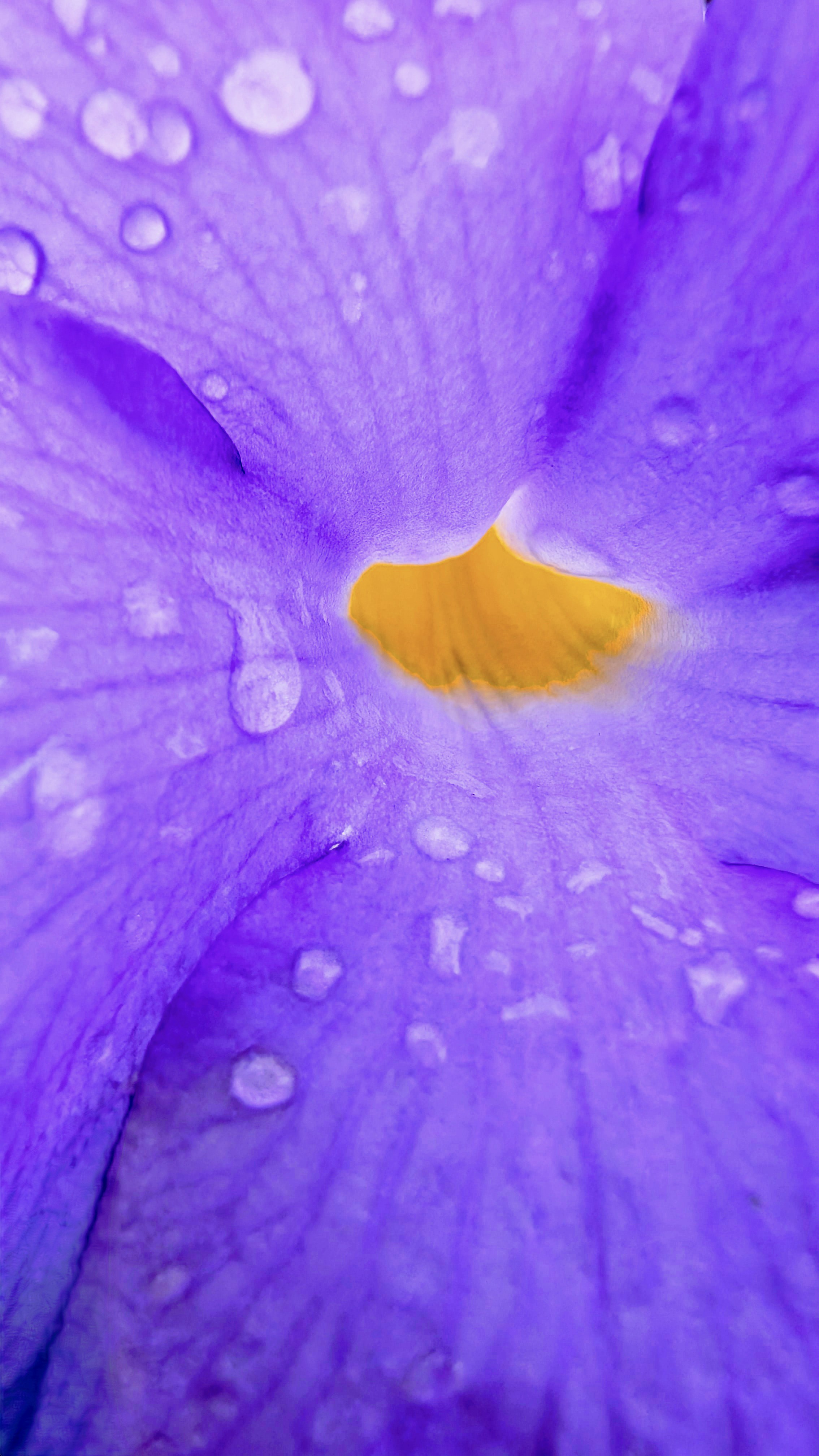 Photo by vinay_gujar