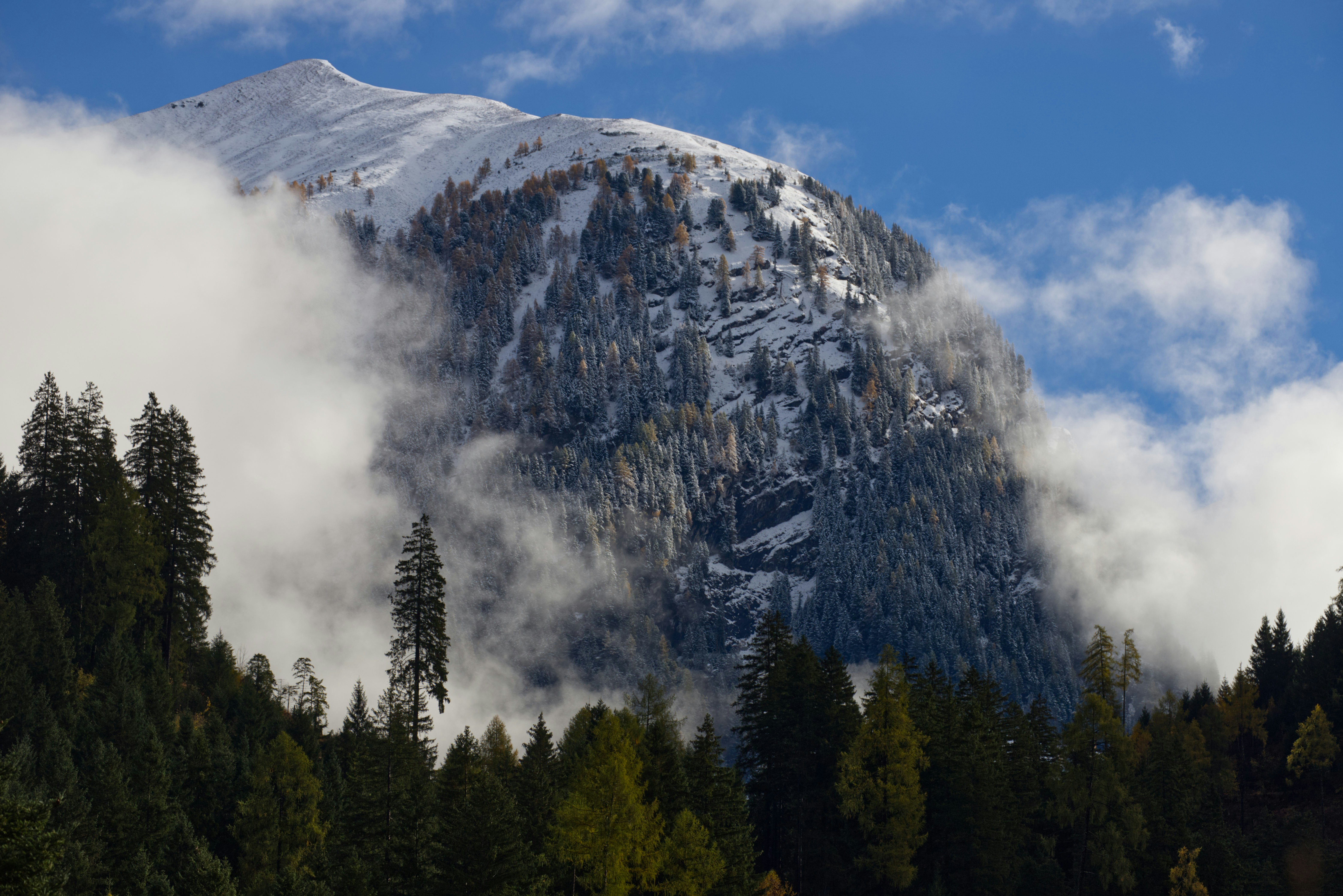 Snow-covered mountain peak surrounded by clouds and trees