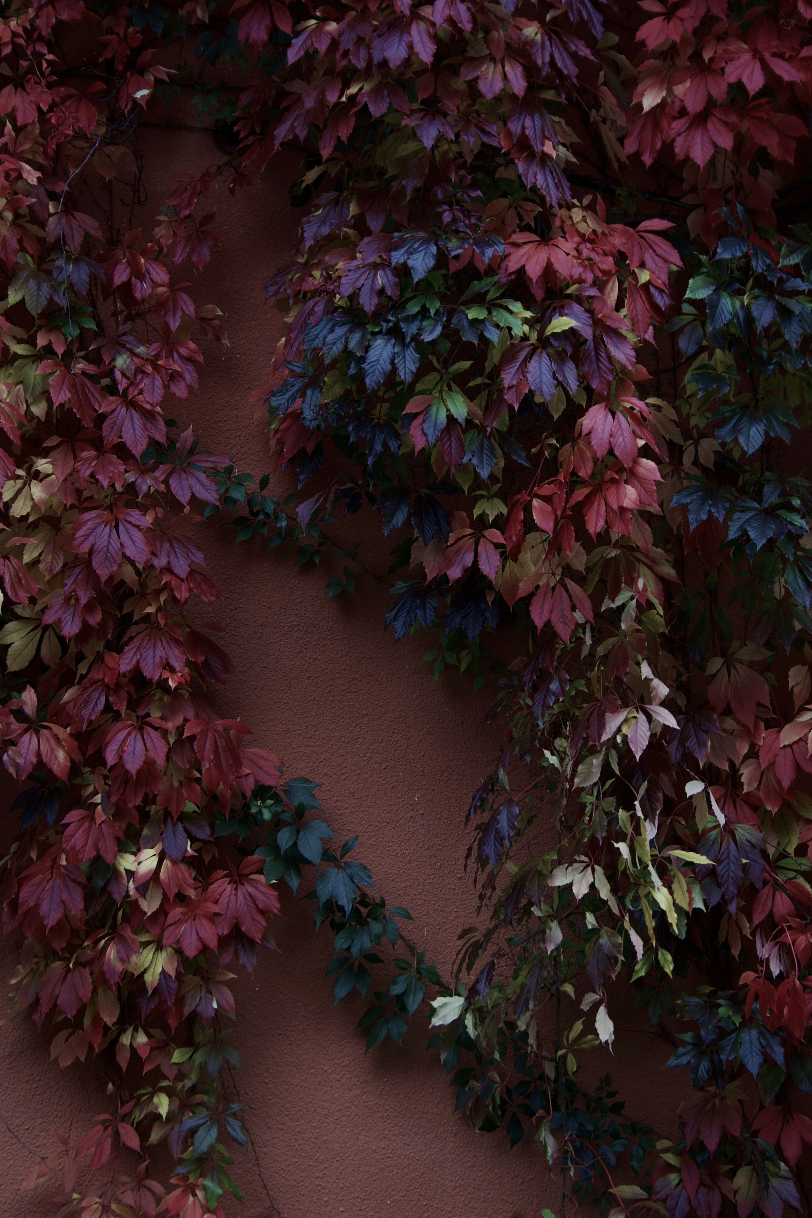 Photo by officiallyamandaaaa