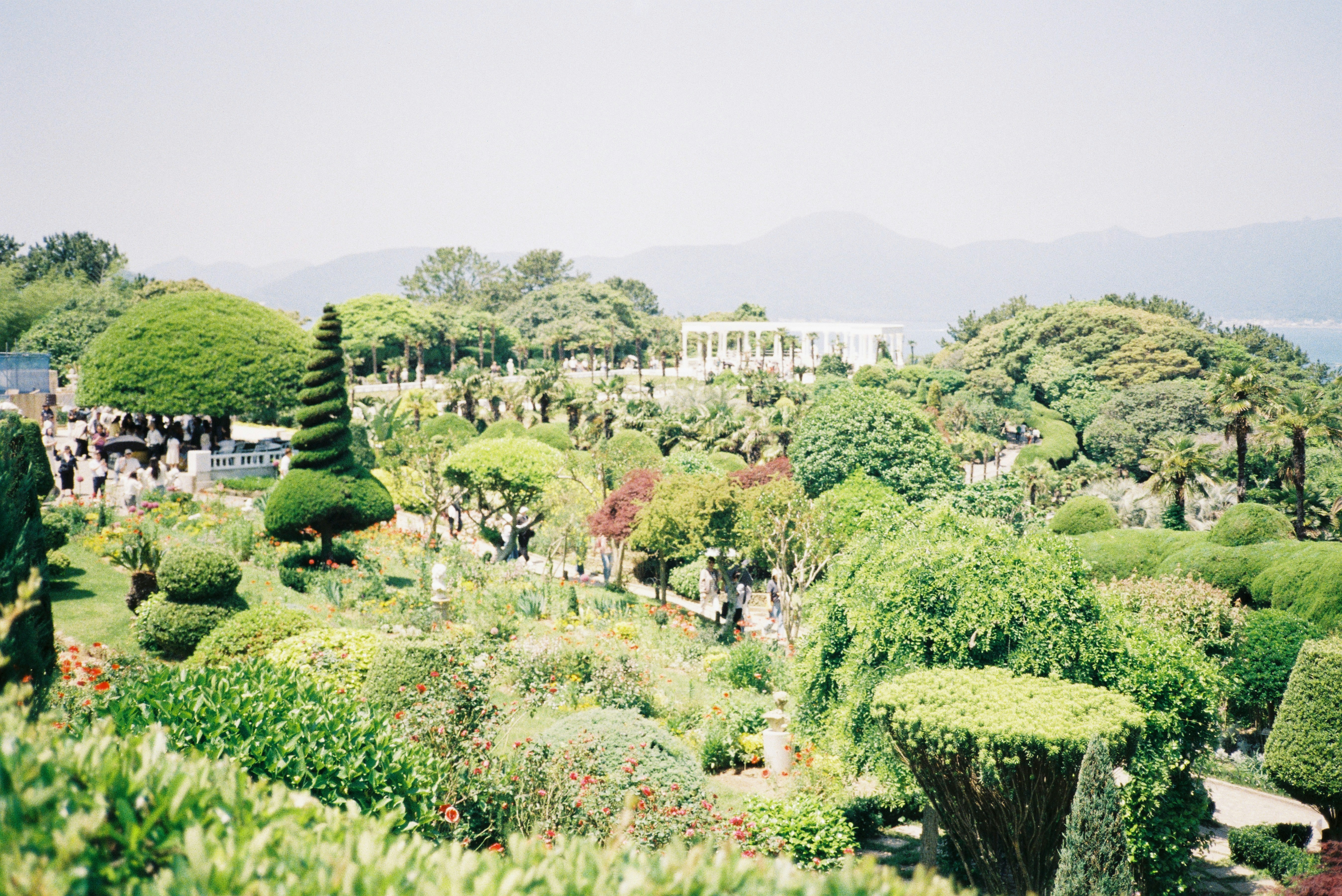 Lush green botanical garden with manicured trees and flowers.