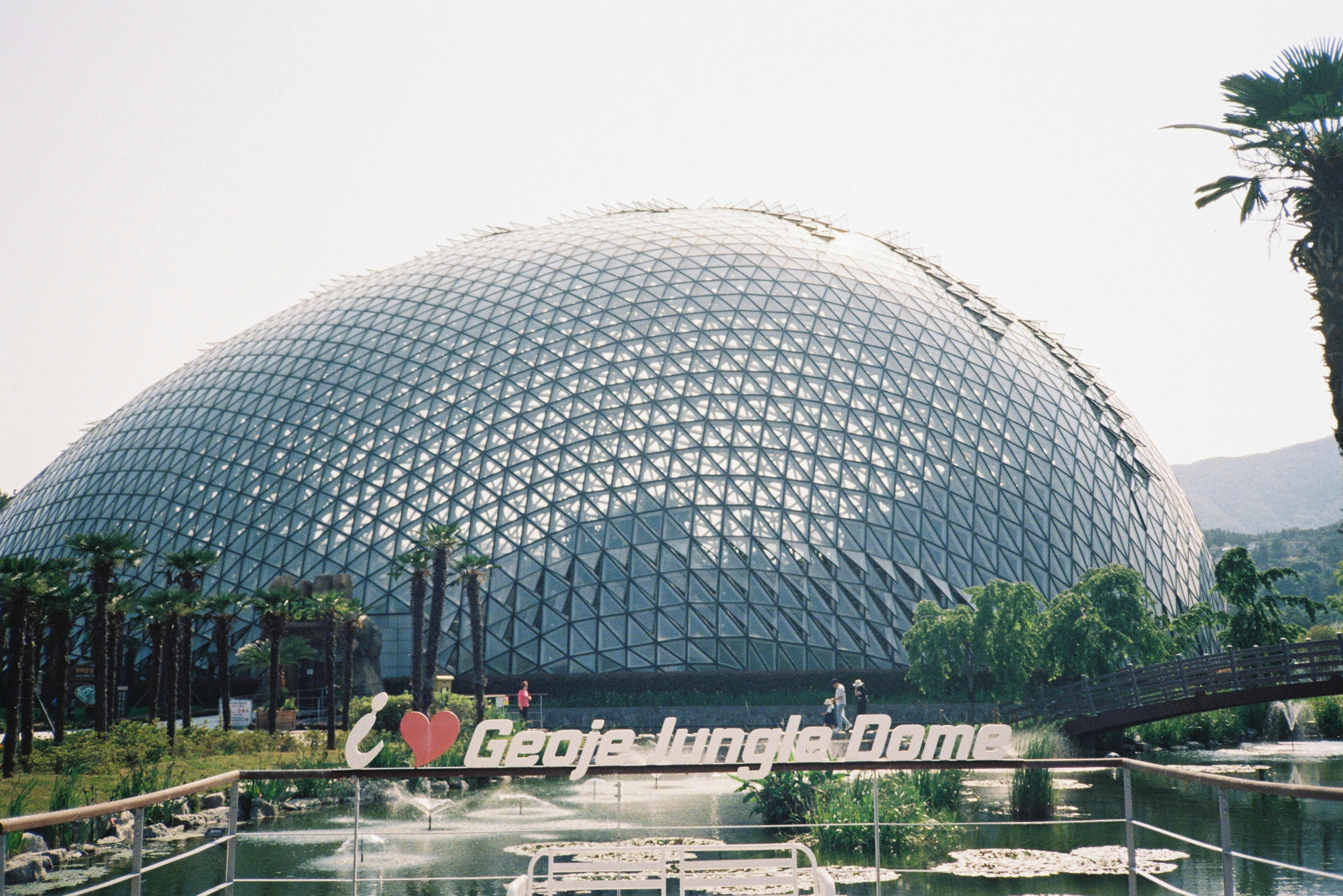 Geoje jungle dome with lush greenery and water feature sign