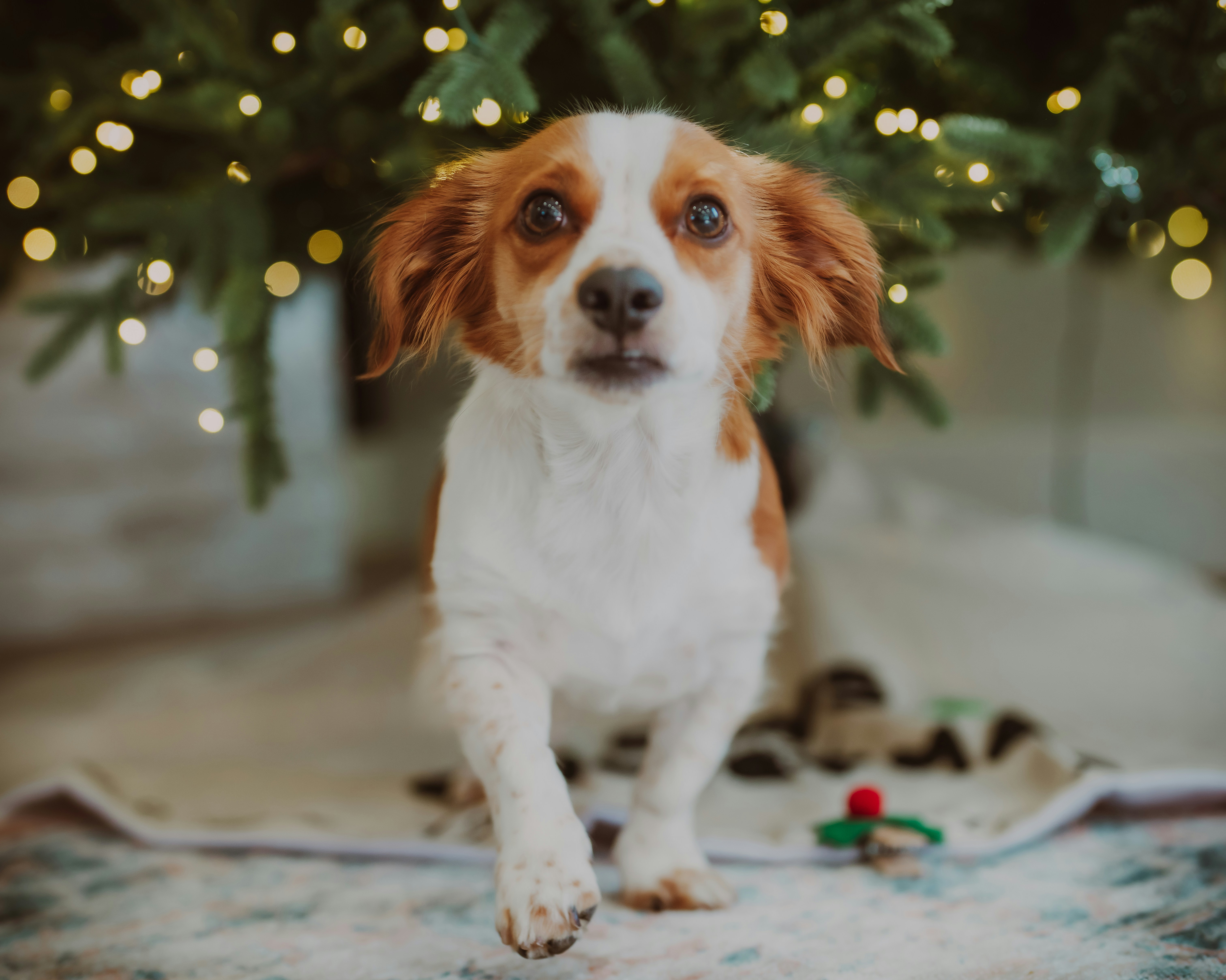 Photo by bugsandslugs