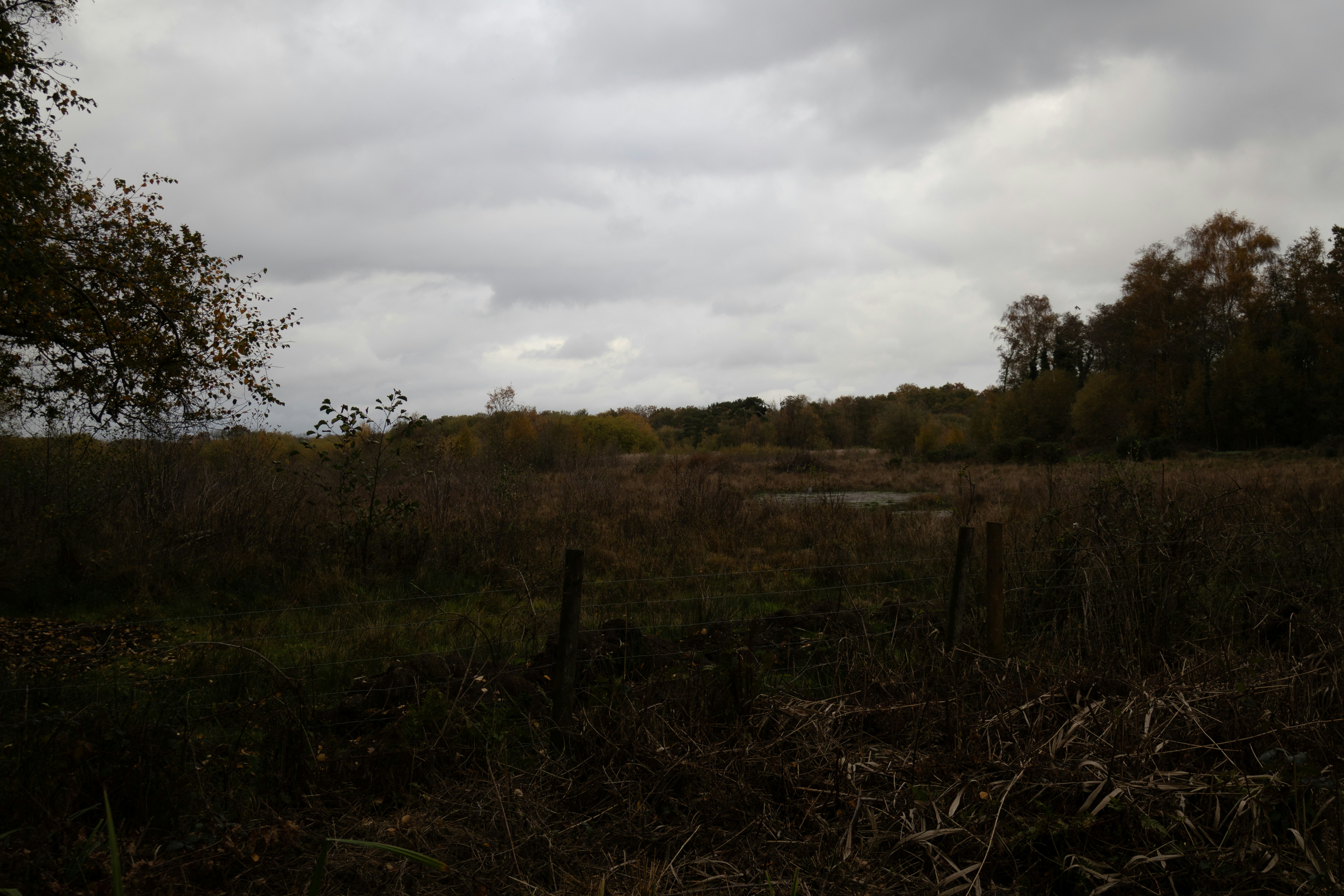 Photo by tanyabarrow