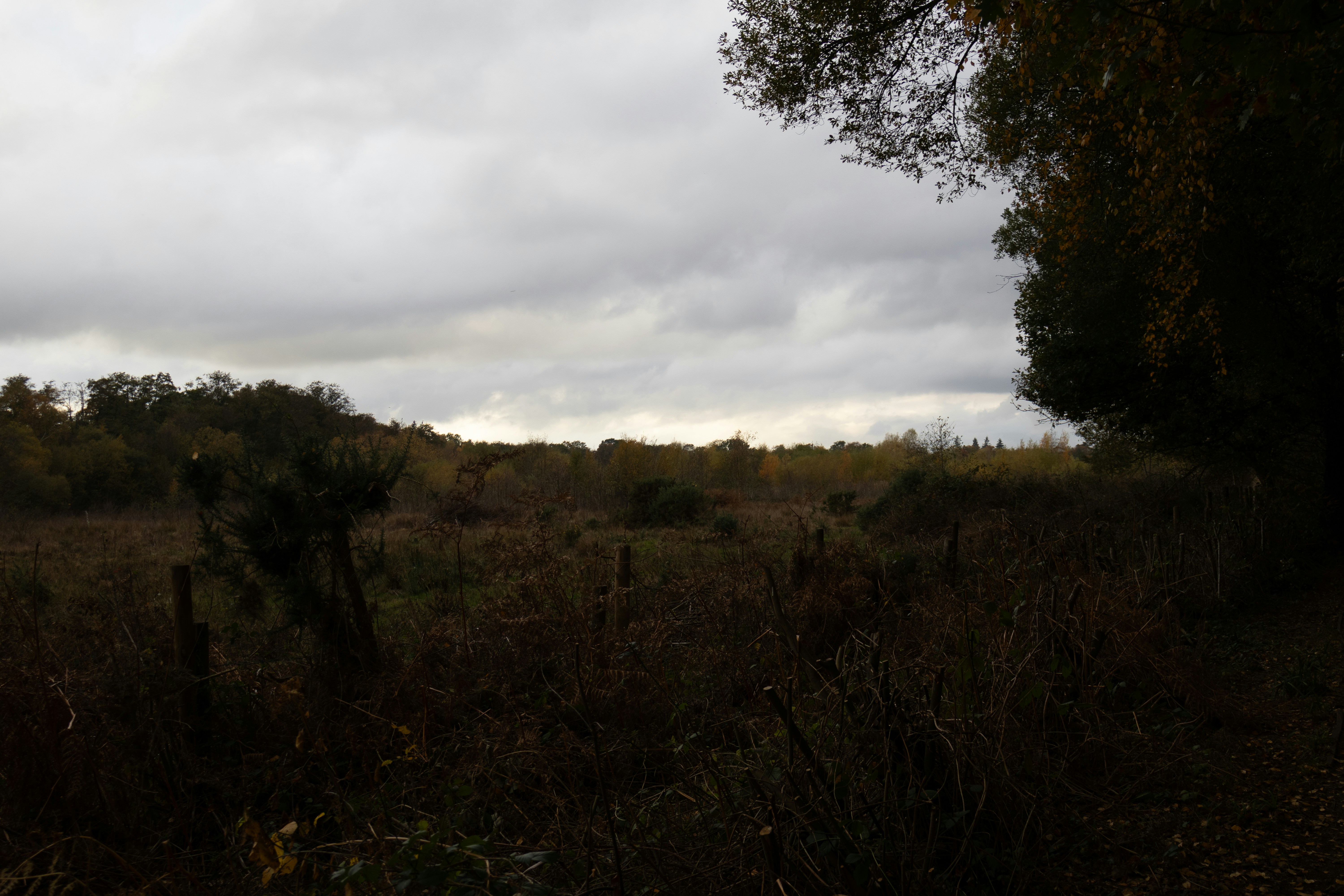 Photo by tanyabarrow