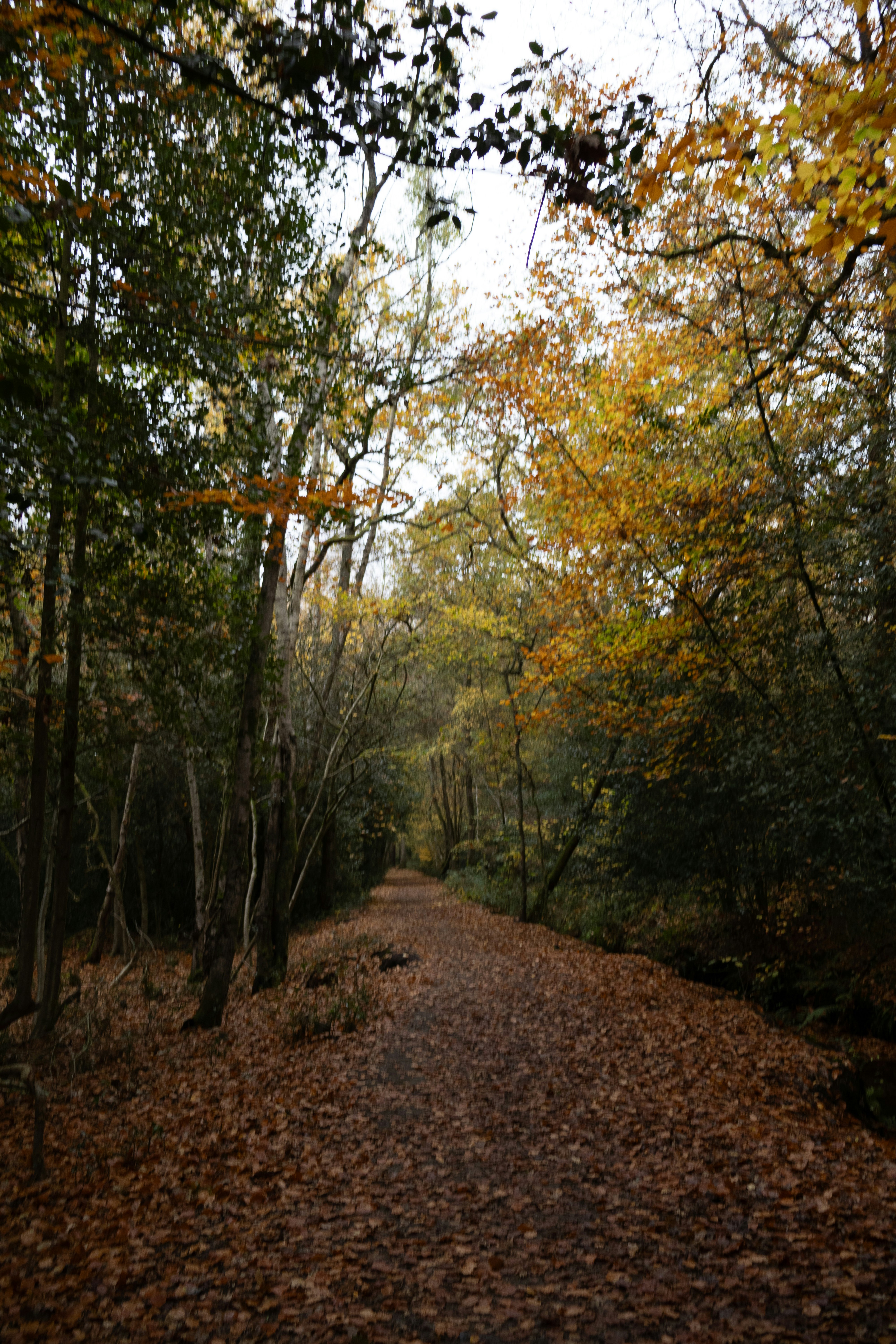 Photo by tanyabarrow