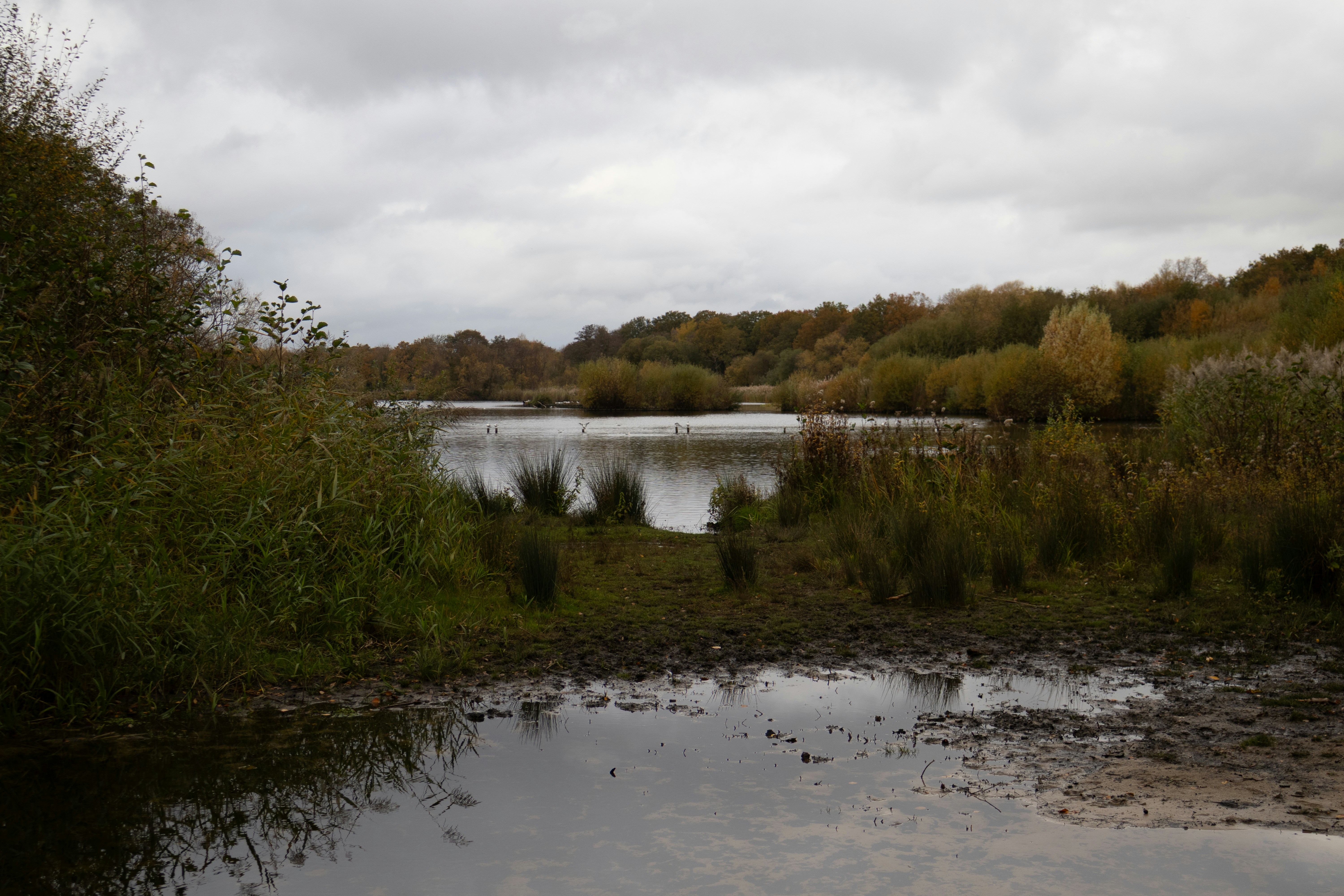 Photo by tanyabarrow