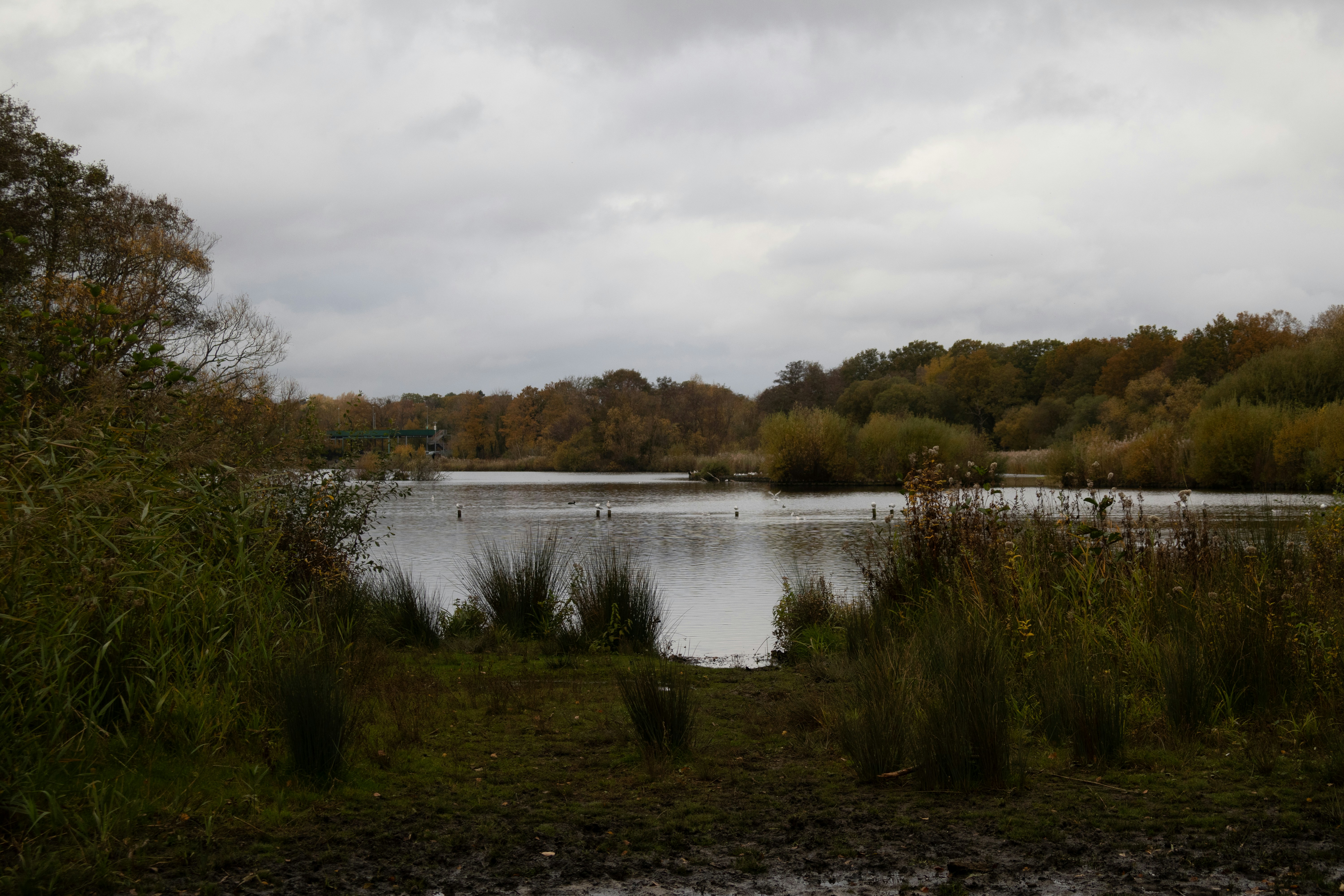 Photo by tanyabarrow